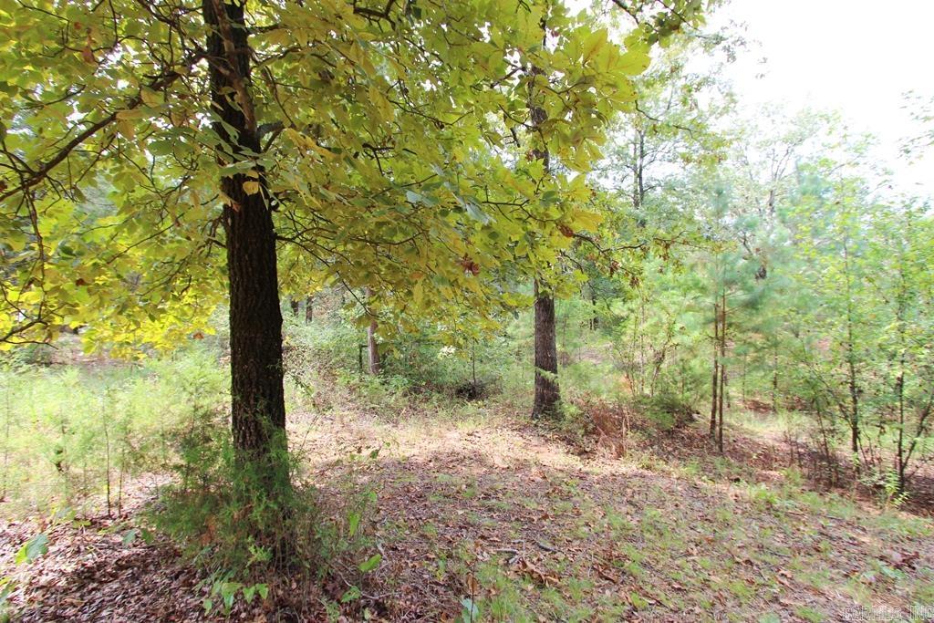 47 Daugherty Hill Road Property Photo 32