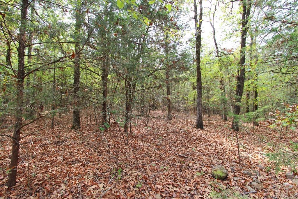 47 Daugherty Hill Road Property Photo 37