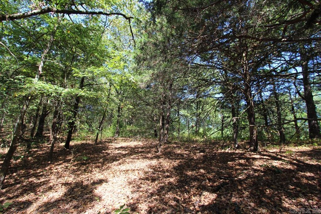 52 Daugherty Hill Road Property Photo 18