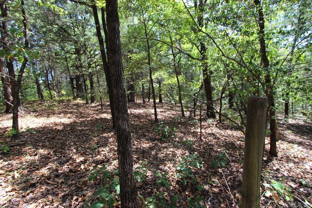 52 Daugherty Hill Road Property Photo 22