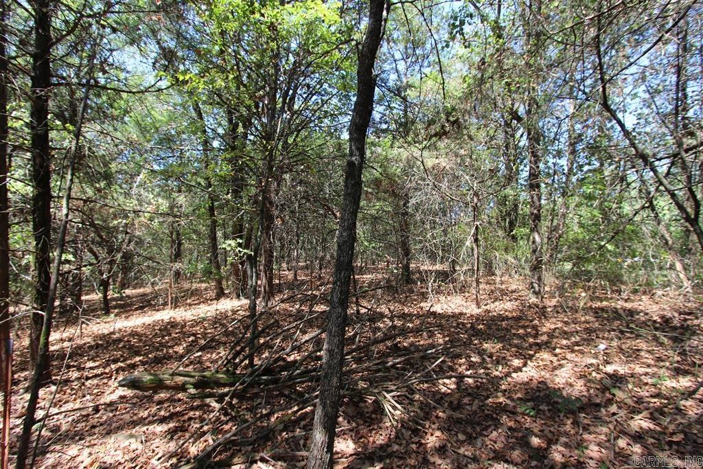 52 Daugherty Hill Road Property Photo 25