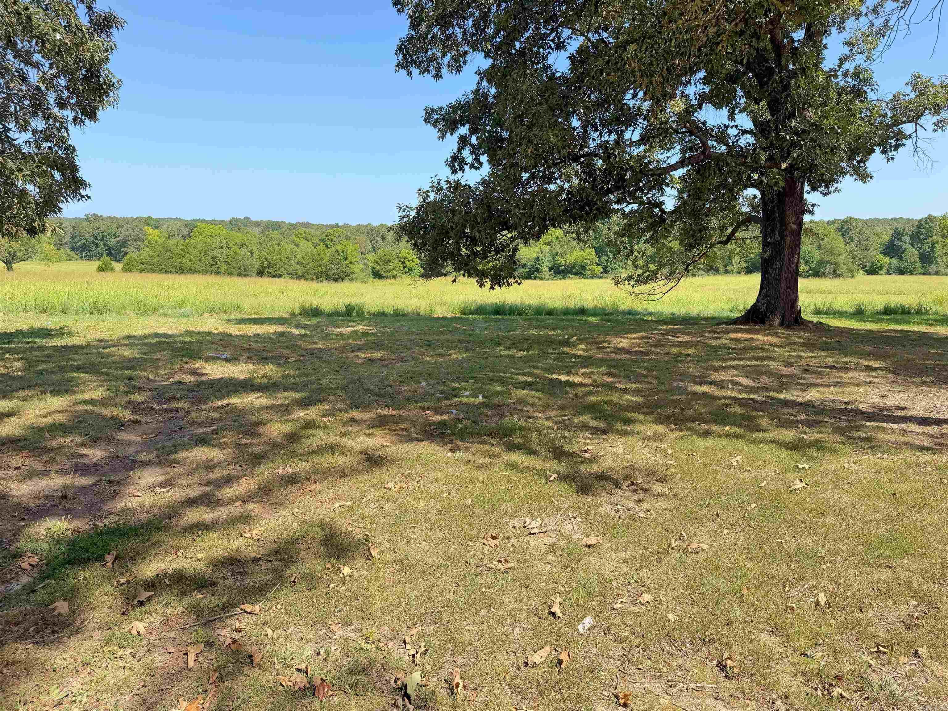101 Summer Meadows Property Photo 3