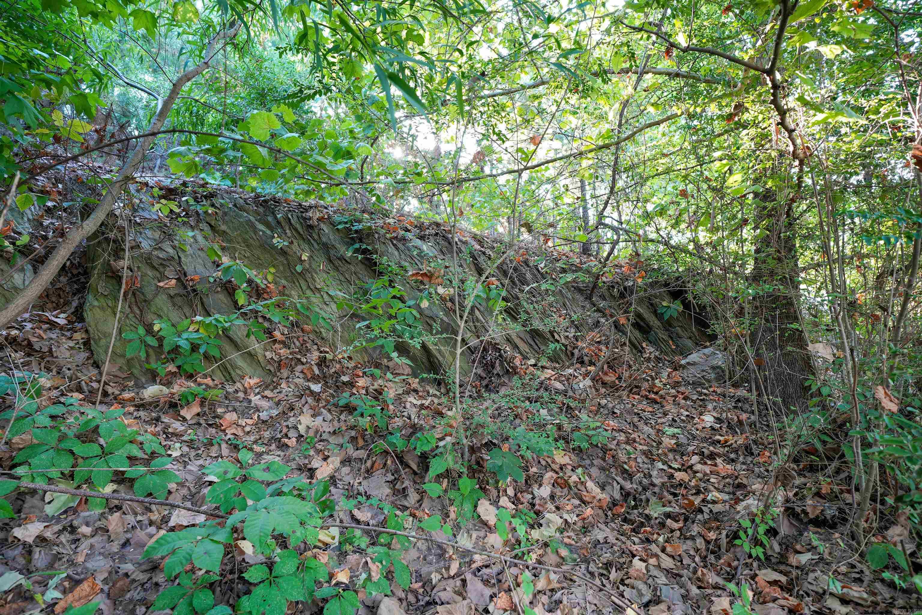 2 Bella View Property Photo 15