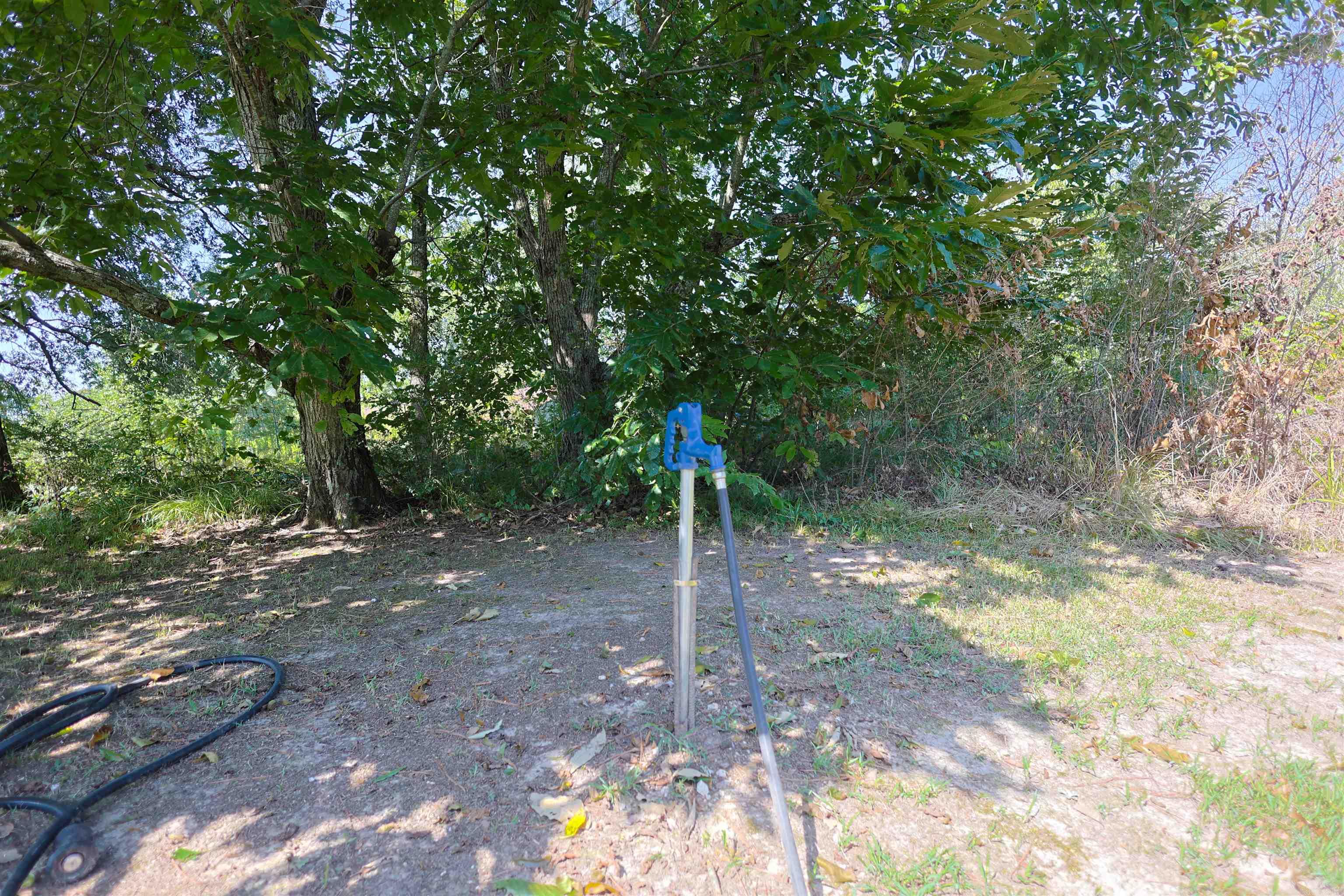293 Rocky Pines Property Photo 43