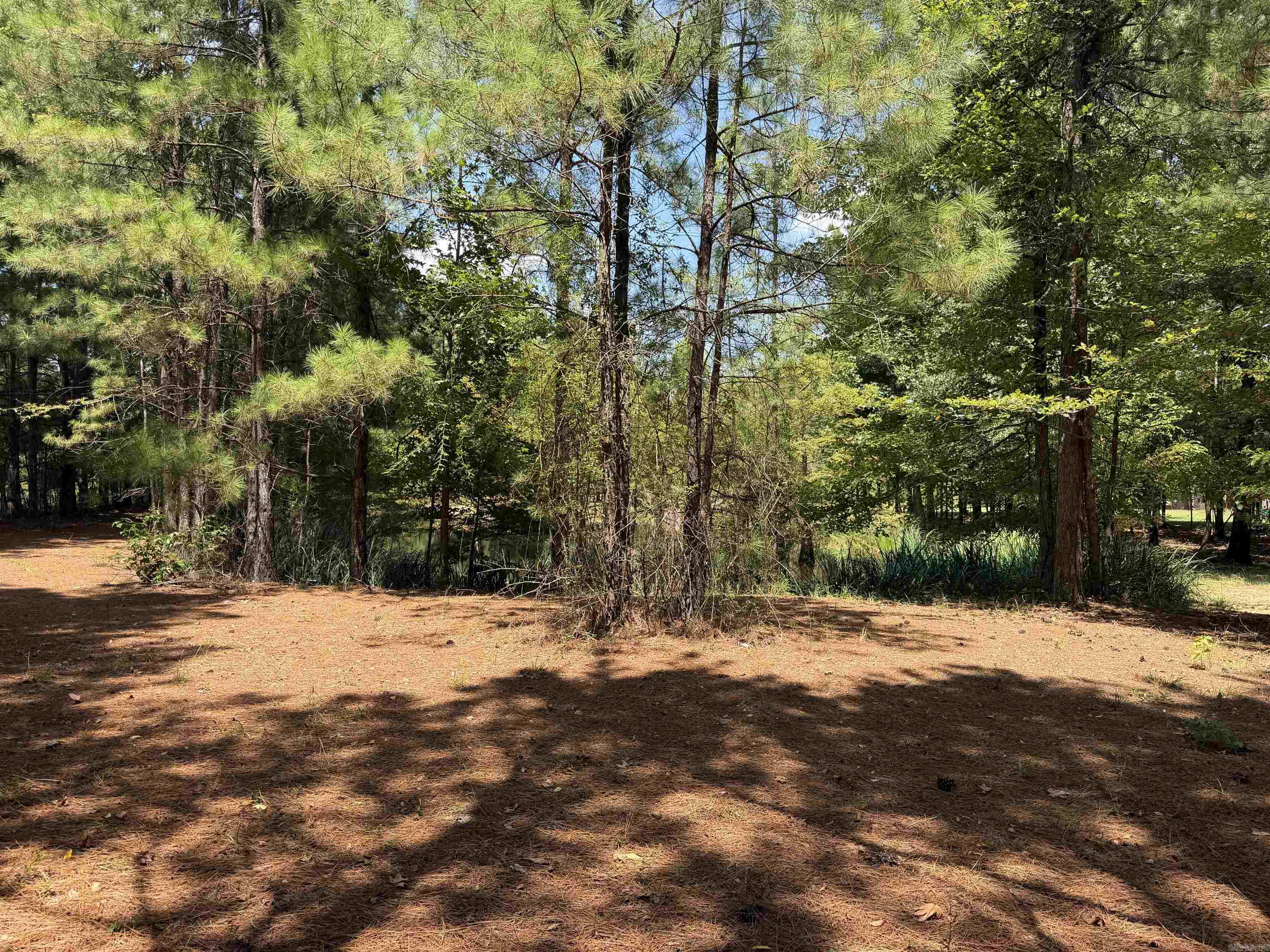 6917 Sorrells Road Property Photo 32