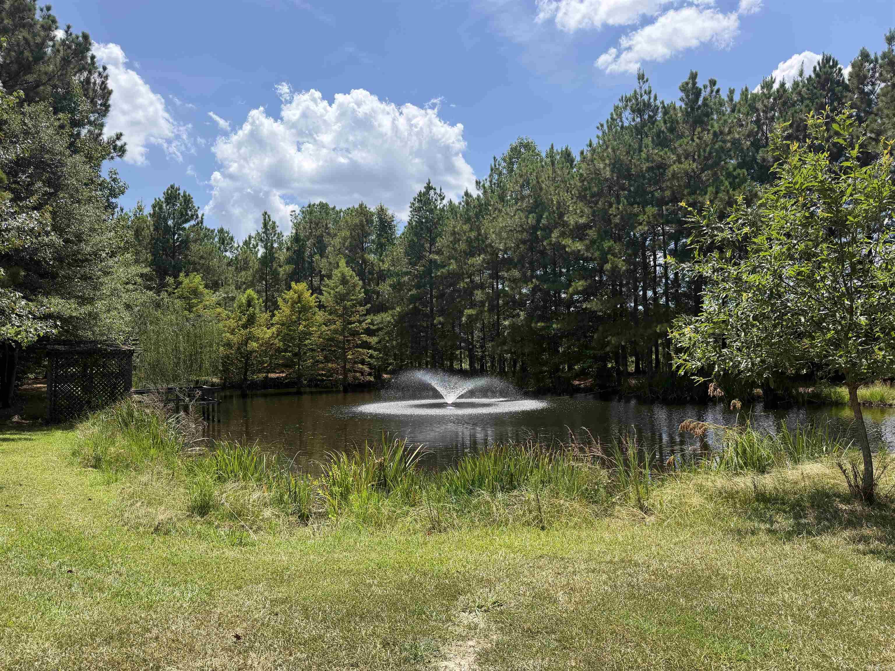 6917 Sorrells Road Property Photo 34