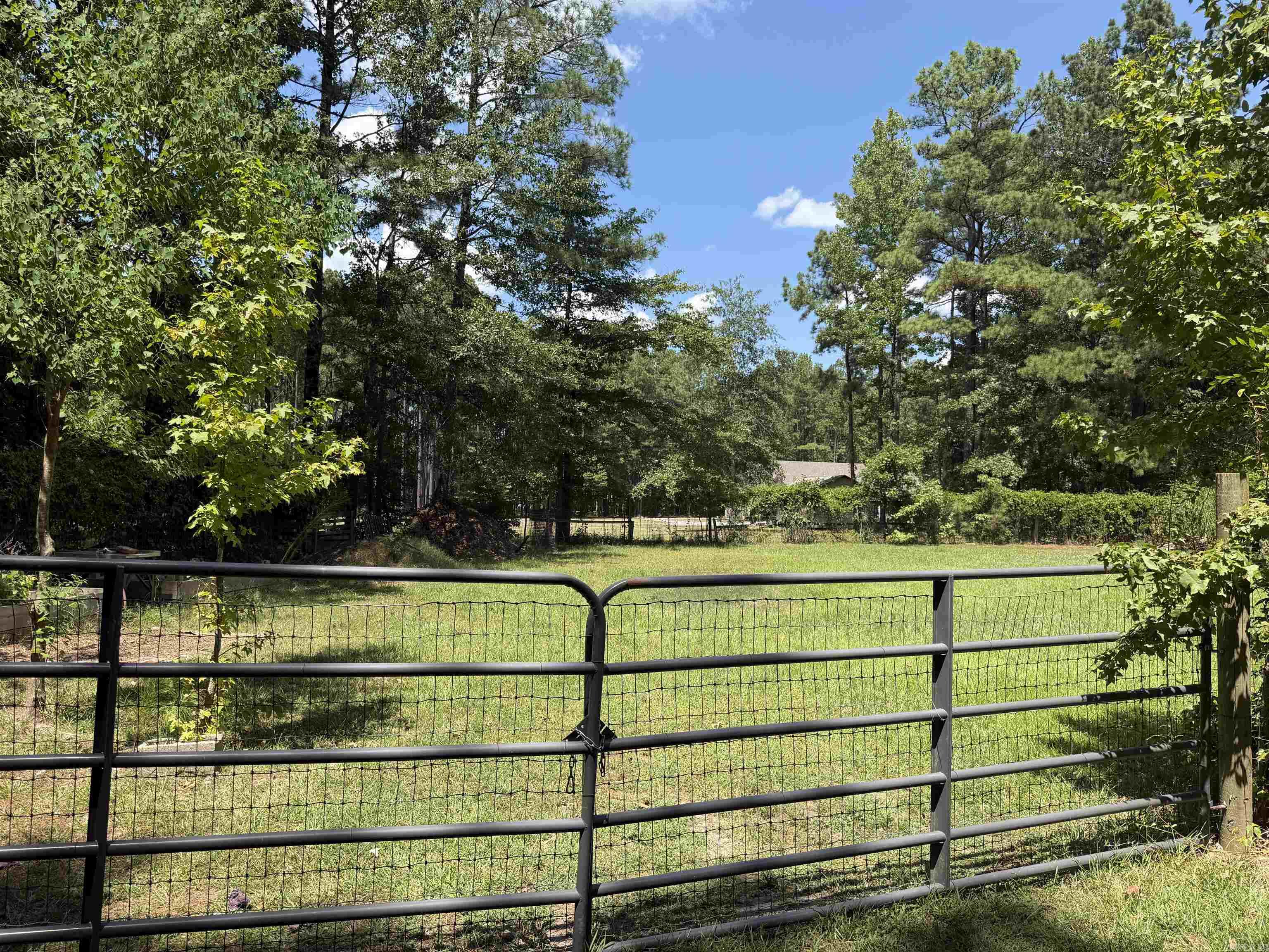 6917 Sorrells Road Property Photo 42