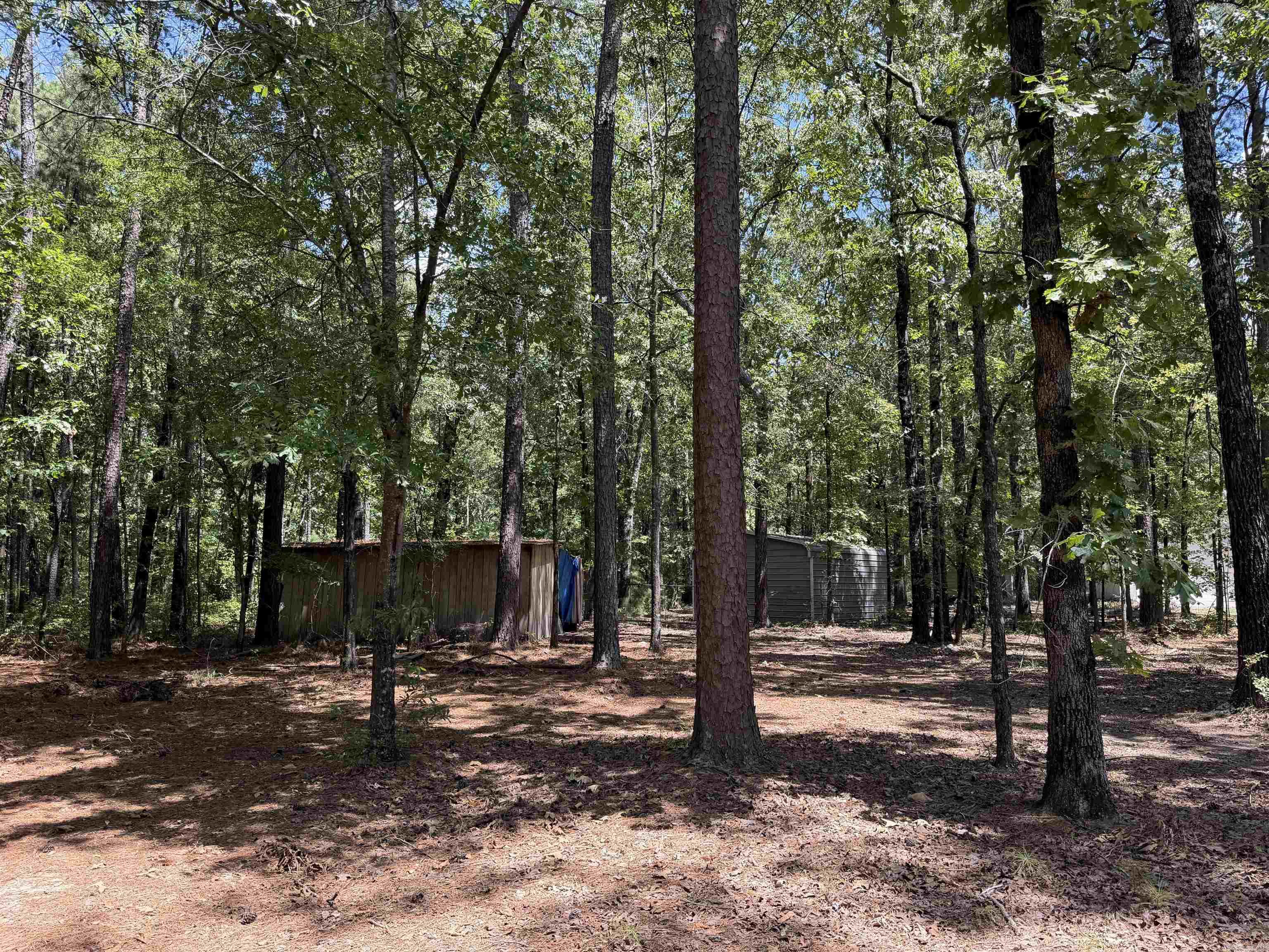 6917 Sorrells Road Property Photo 43