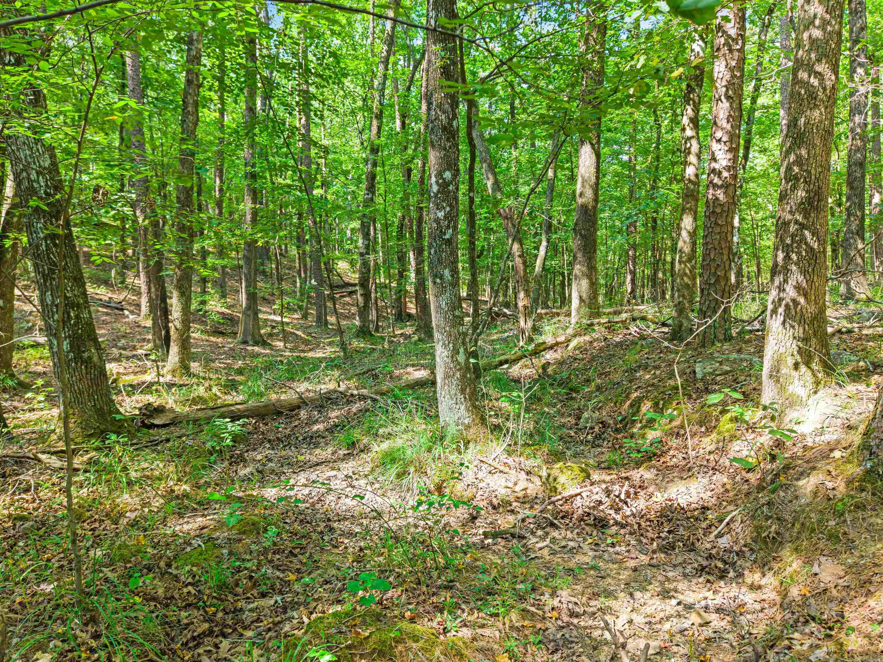 381 E Strawberry Property Photo 40