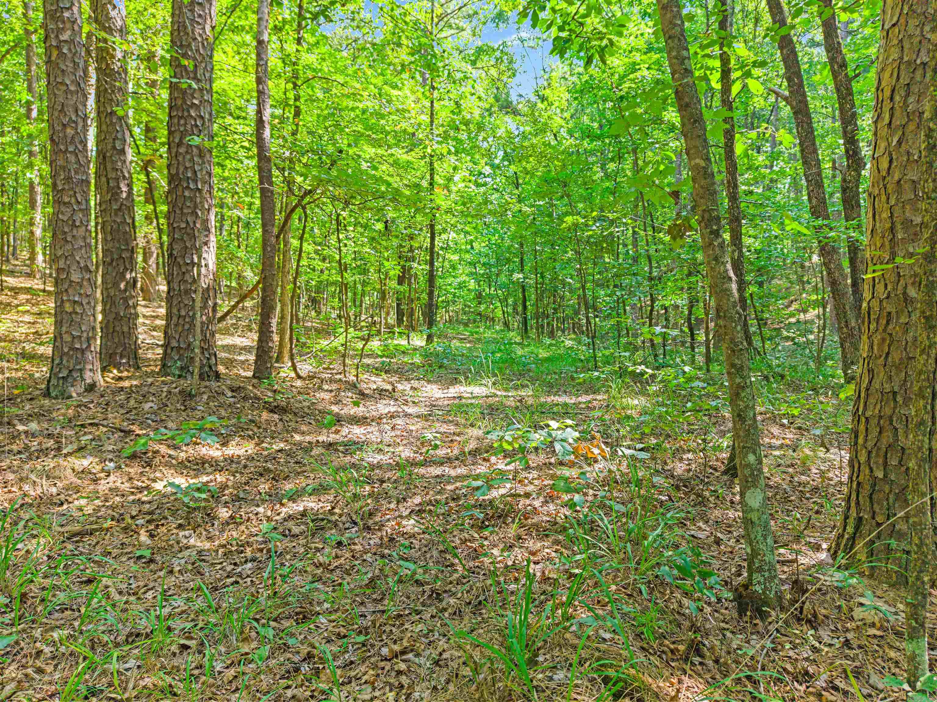 381 E Strawberry Property Photo 41