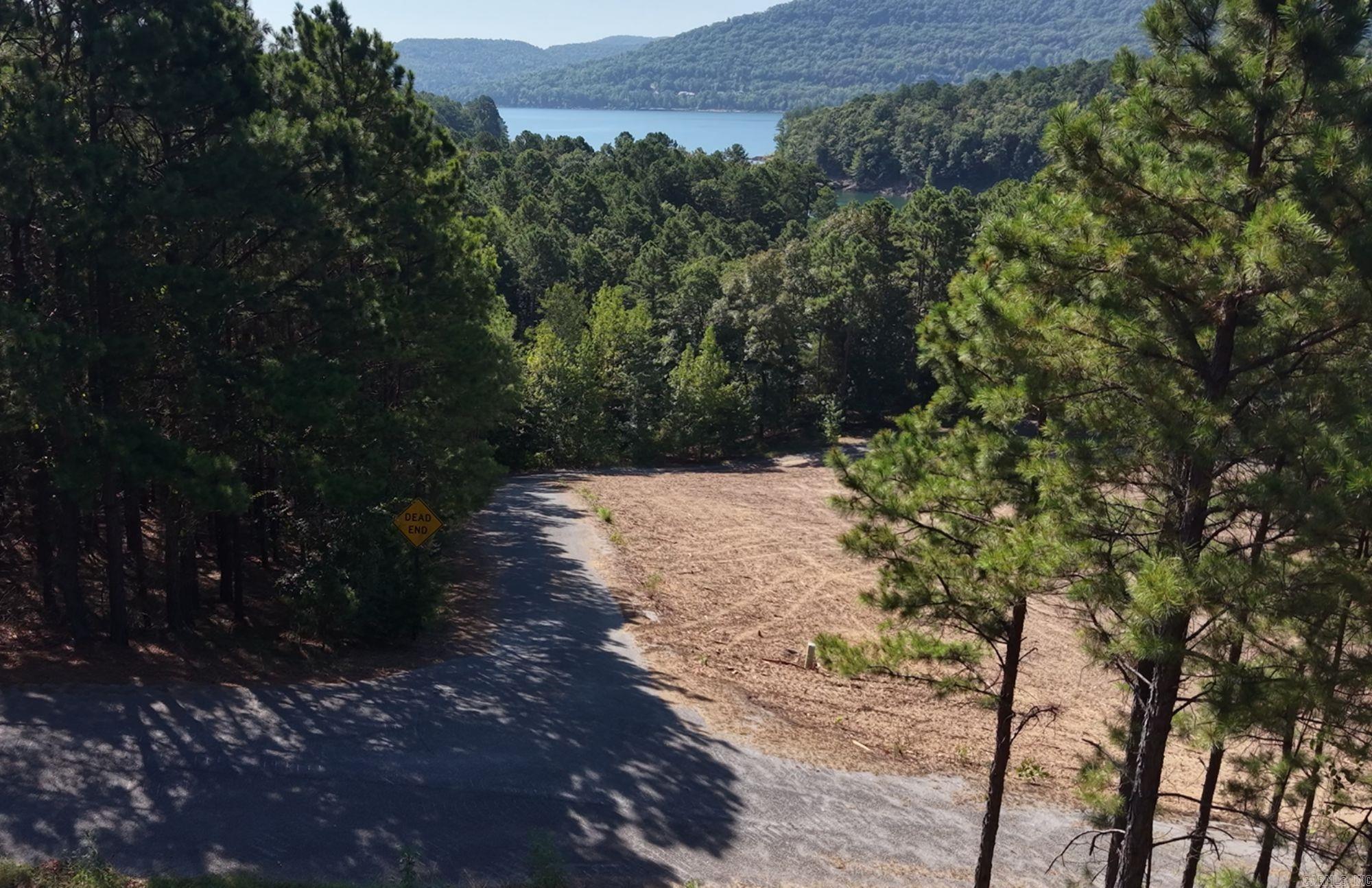 Lot 10 Thompson Cove Property Photo 2