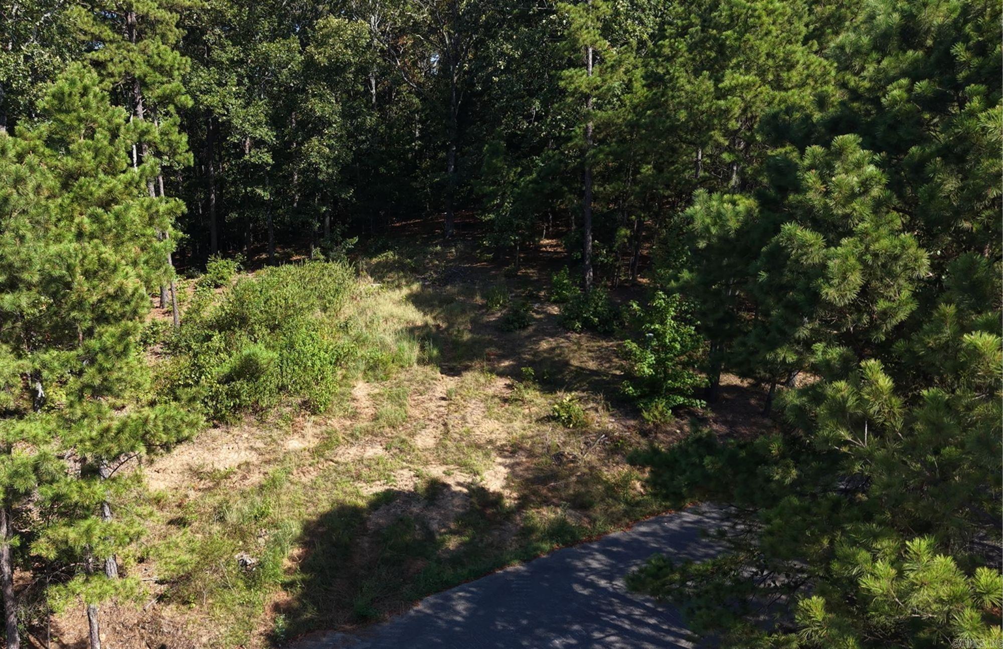 Lot 10 Thompson Cove Property Photo 4
