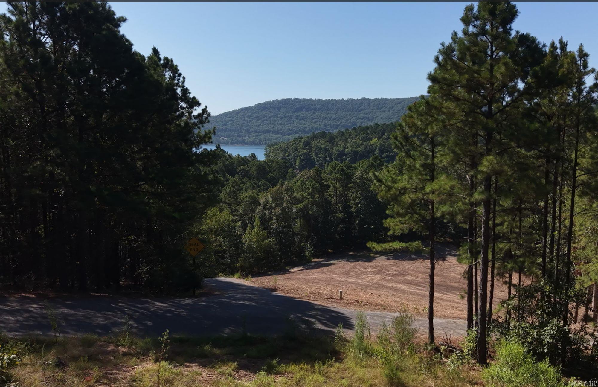 Lot 10 Thompson Cove Property Photo 5