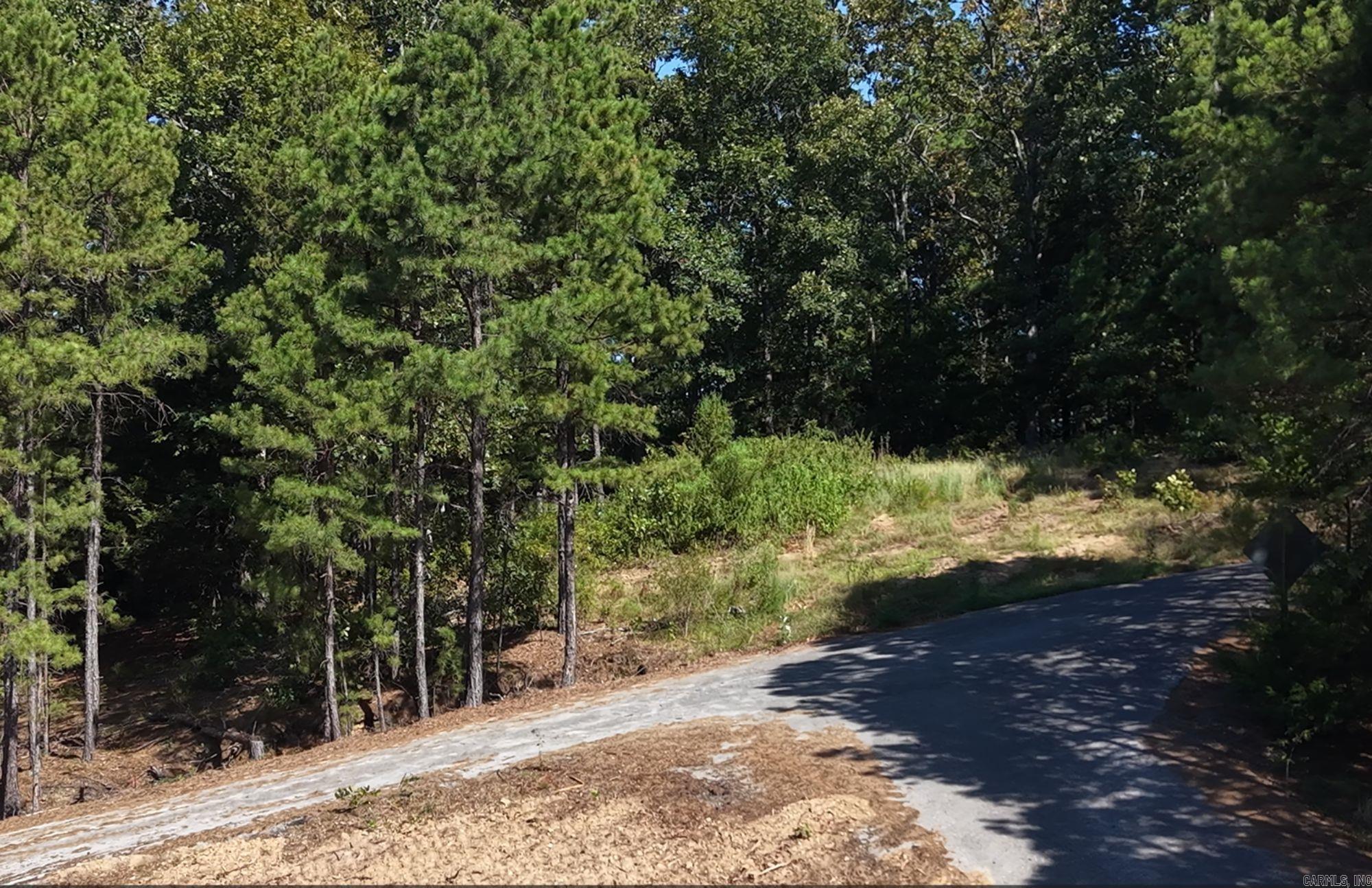Lot 10 Thompson Cove Property Photo 8