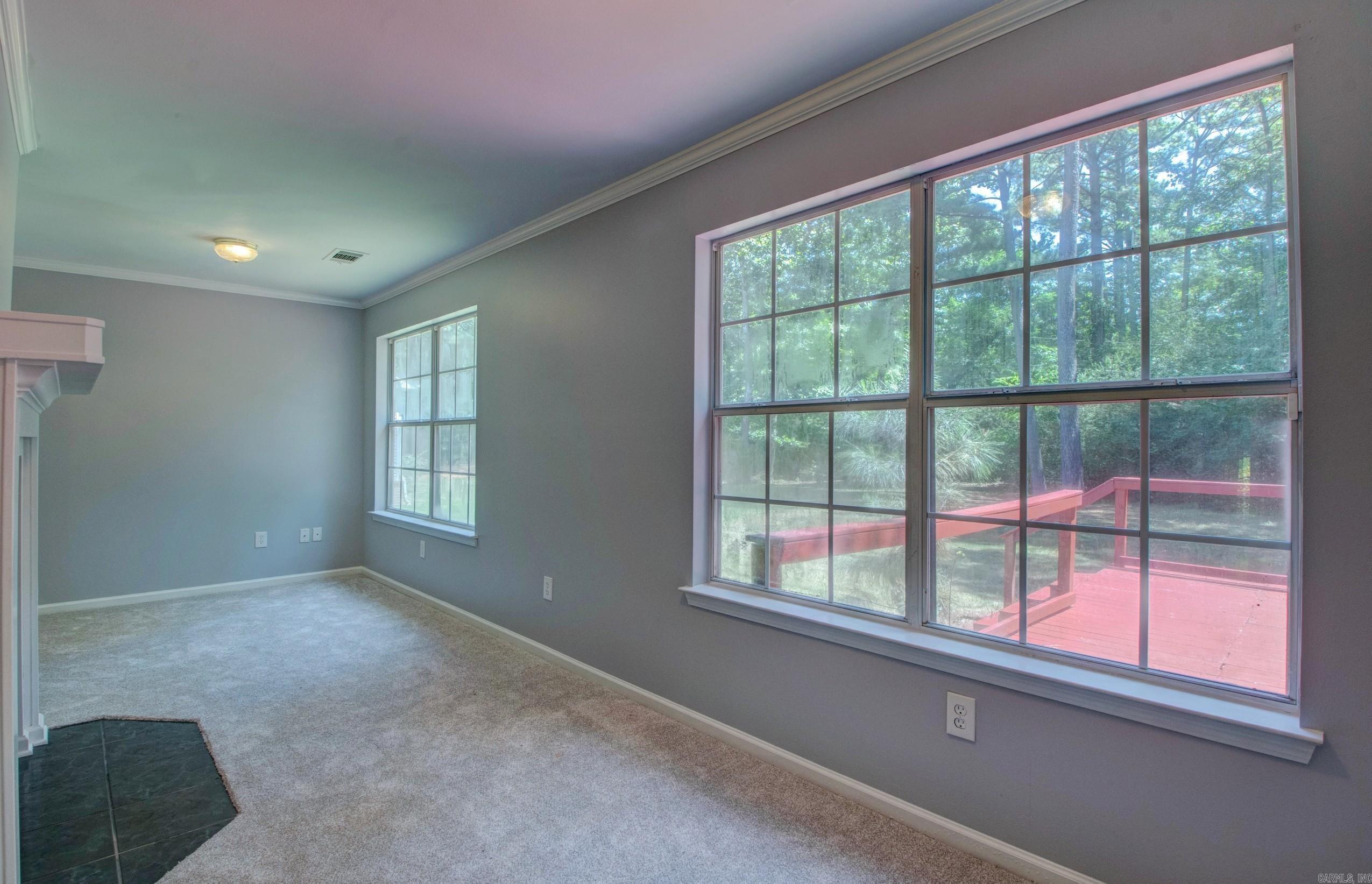 16107 Otter Creek Pkwy Property Photo 7