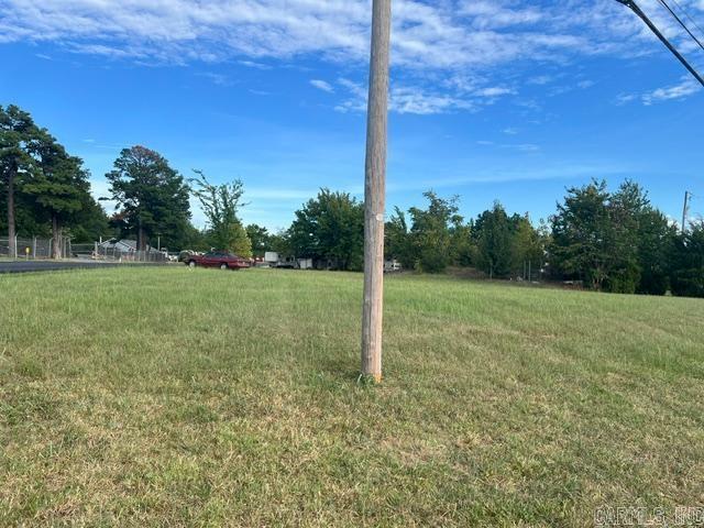 707 Sylamore Avenue Property Photo 6