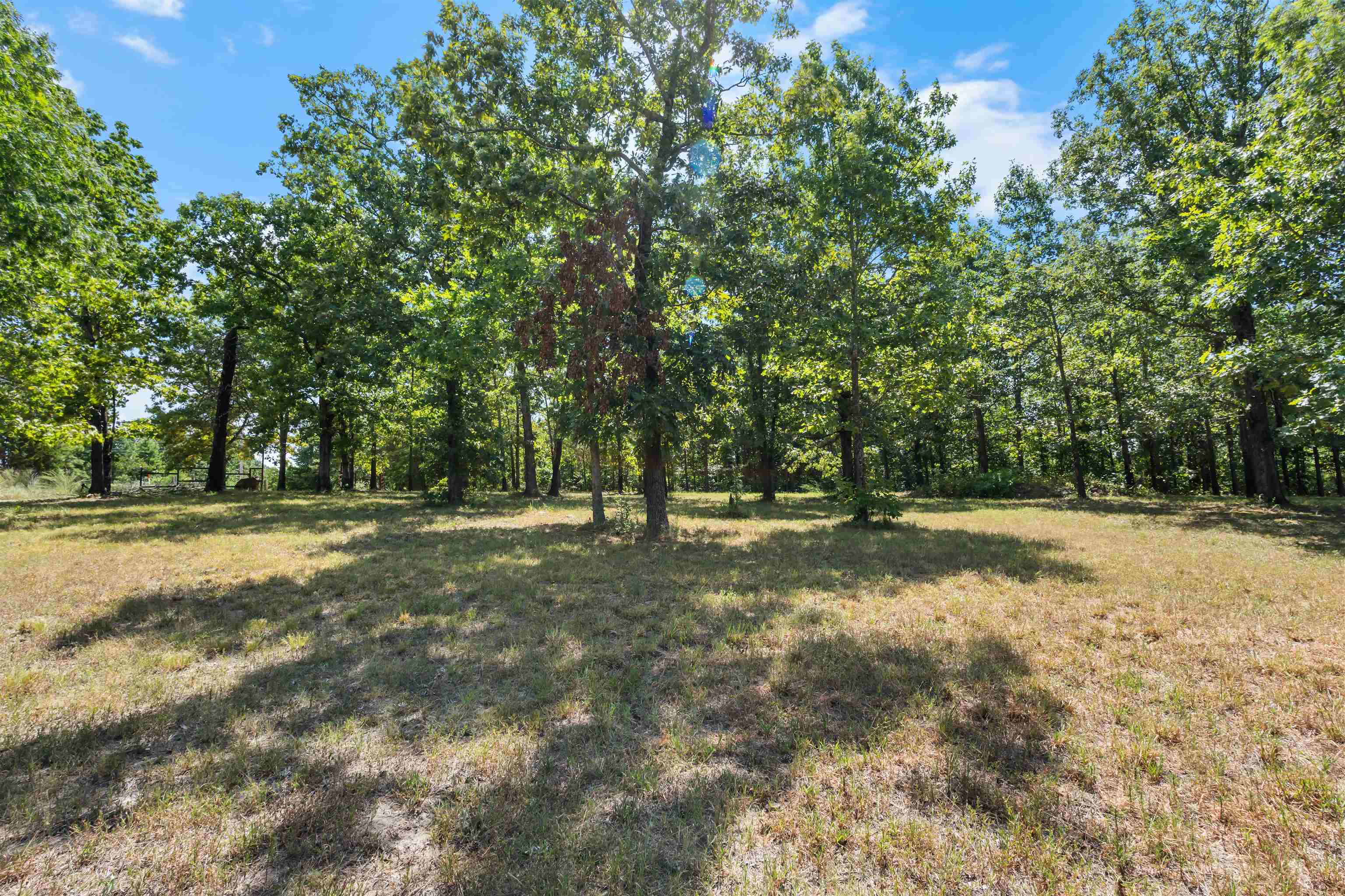 760 Red Fern Lane Property Photo 22