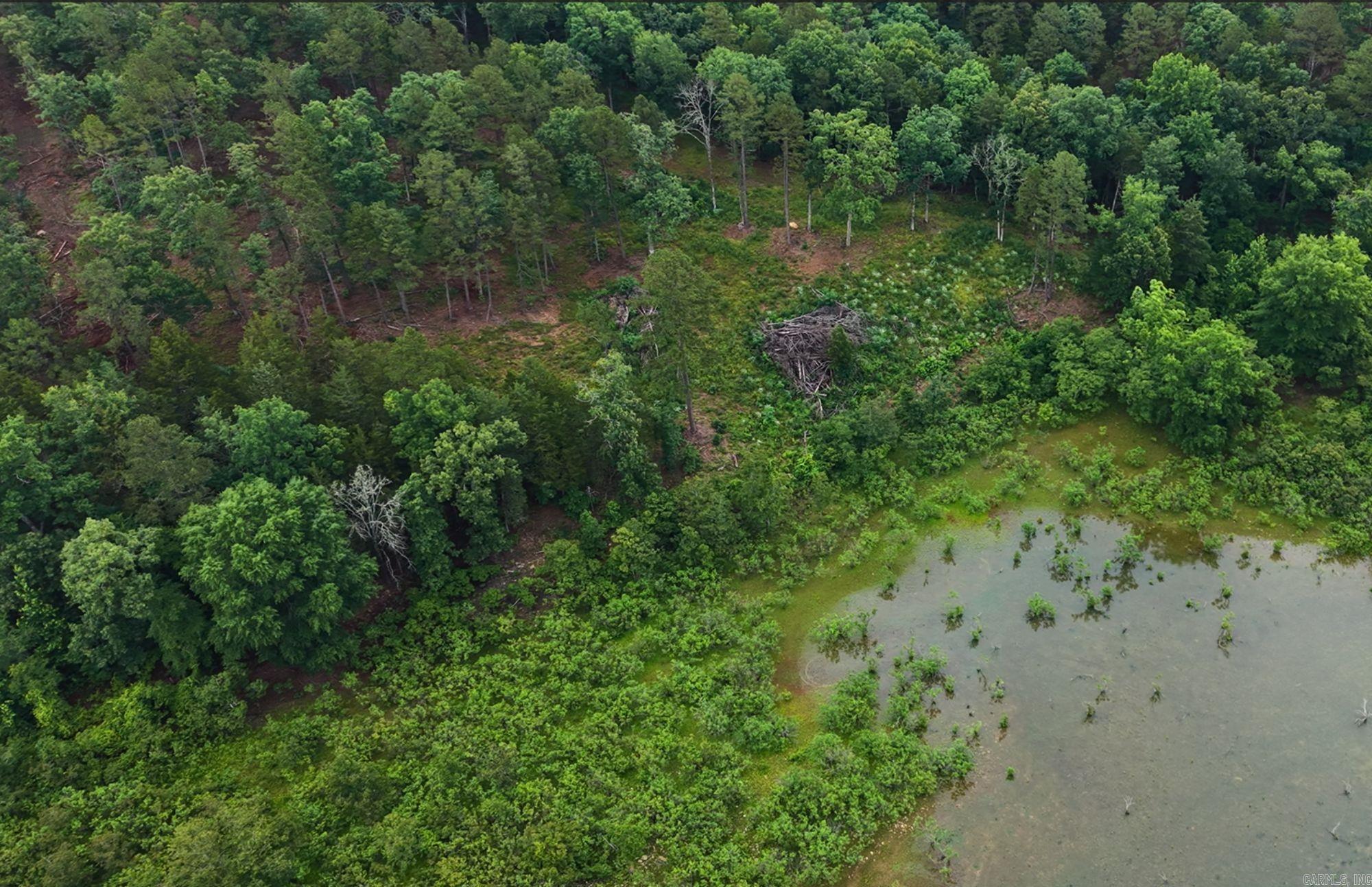 000 Cobalt Bay Drive Property Photo 6