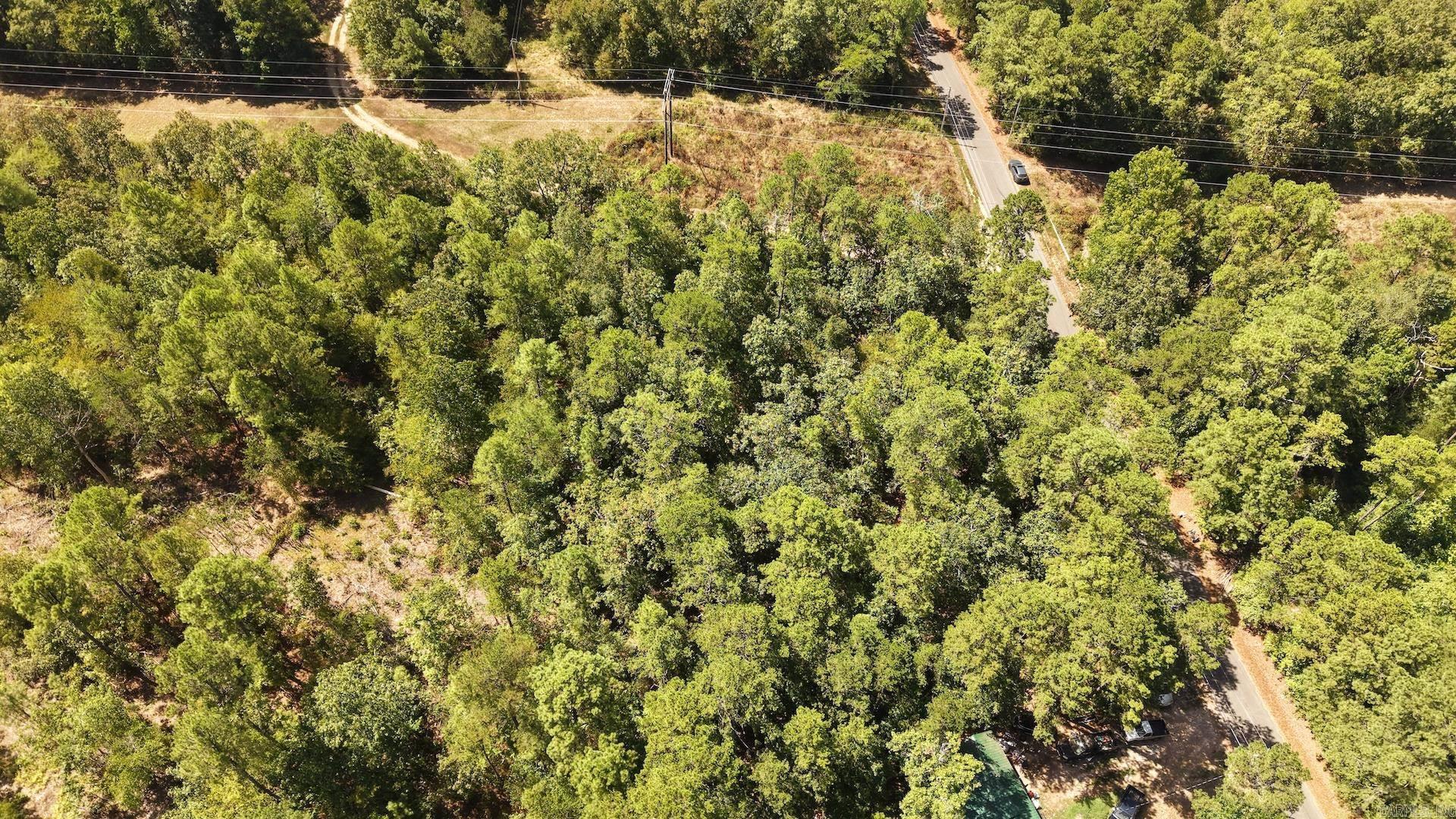 0 Gold Nugget Loop Property Photo 6