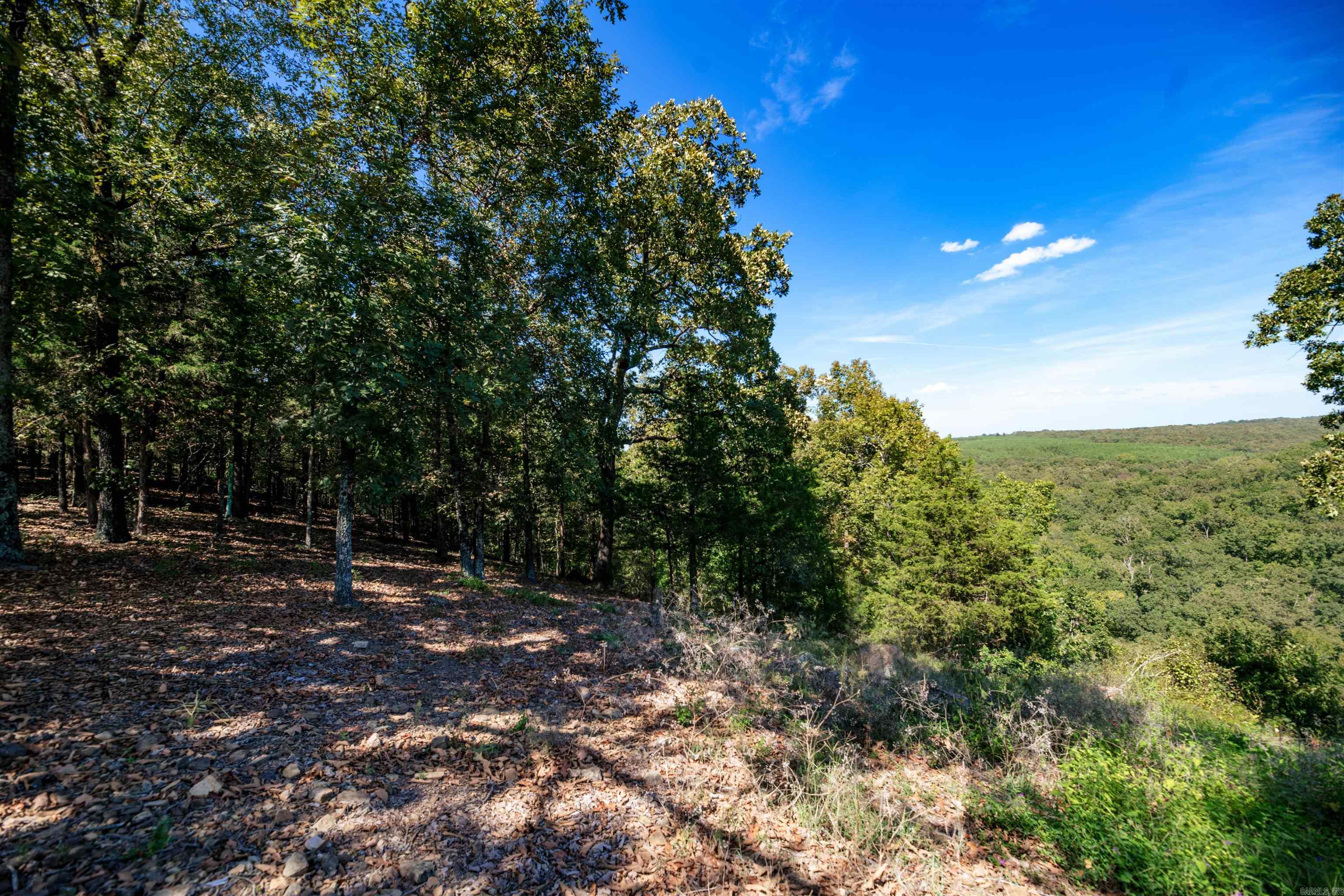 137 Mill Creek Drive Property Photo 17