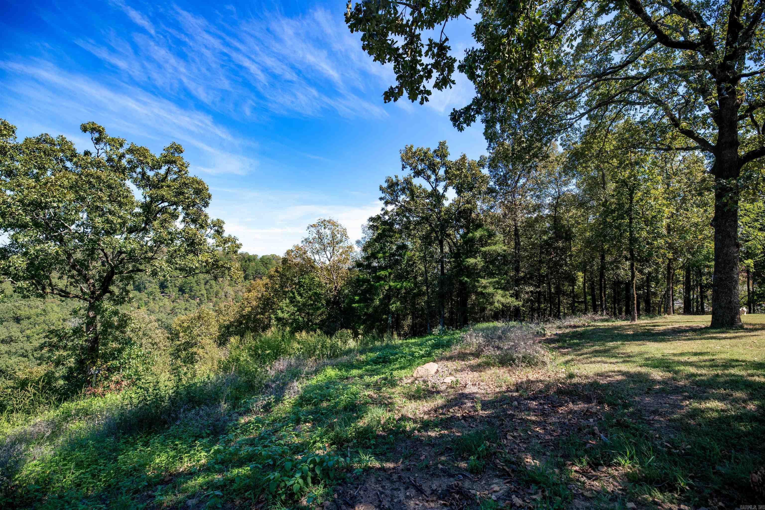 137 Mill Creek Drive Property Photo 18