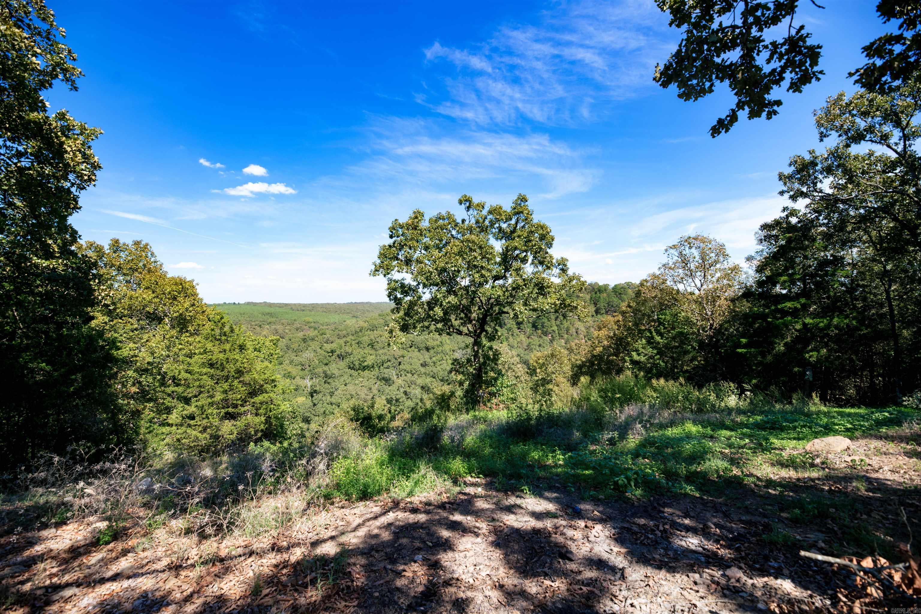 137 Mill Creek Drive Property Photo 19