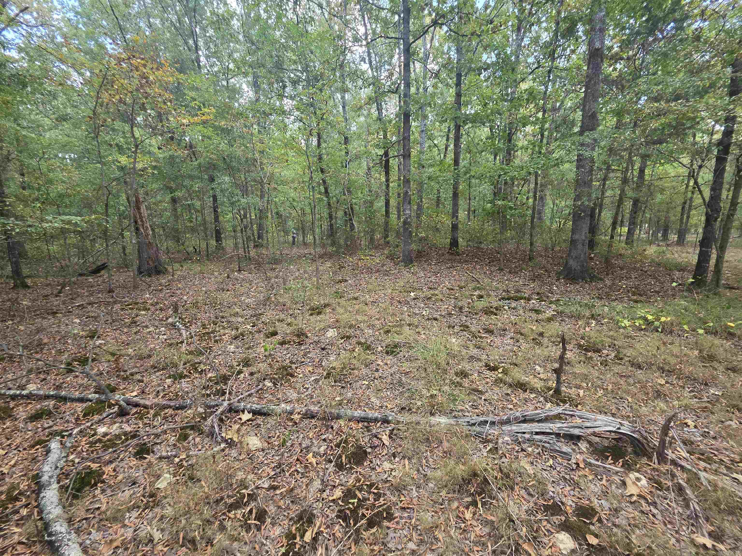 6532 Sayles Road Property Photo 8