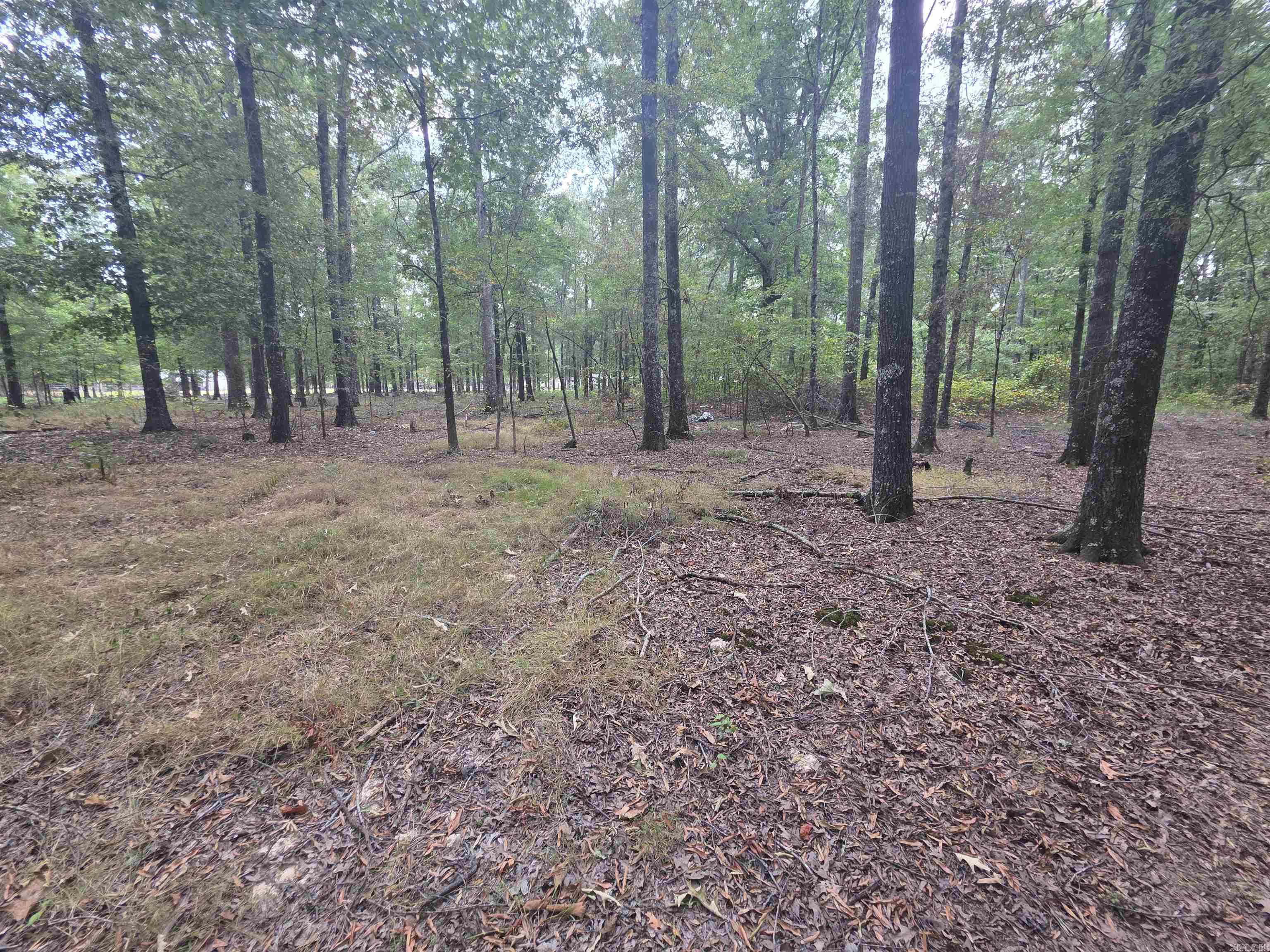 6532 Sayles Road Property Photo 9