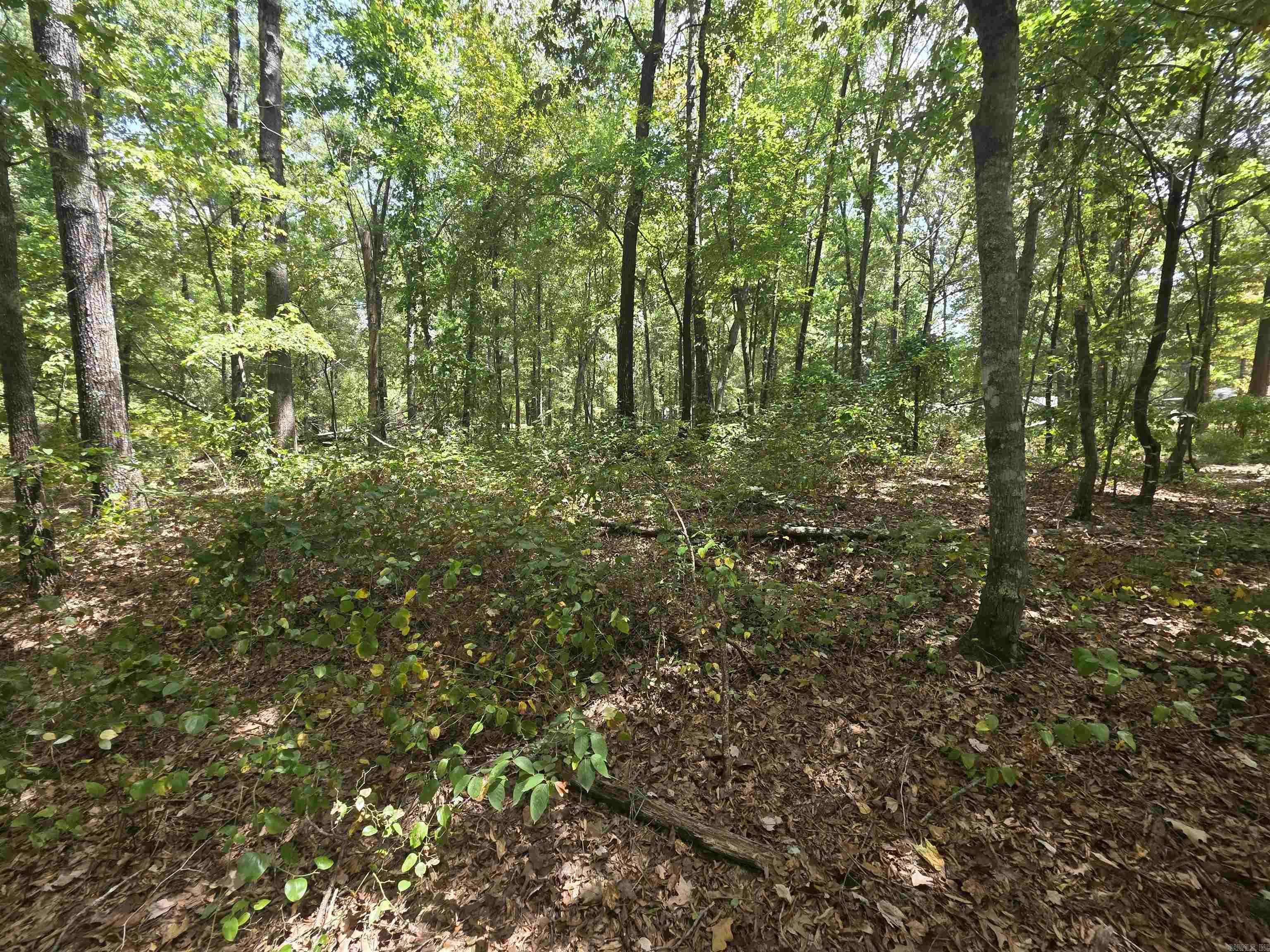 6532 Sayles Road Property Photo 10