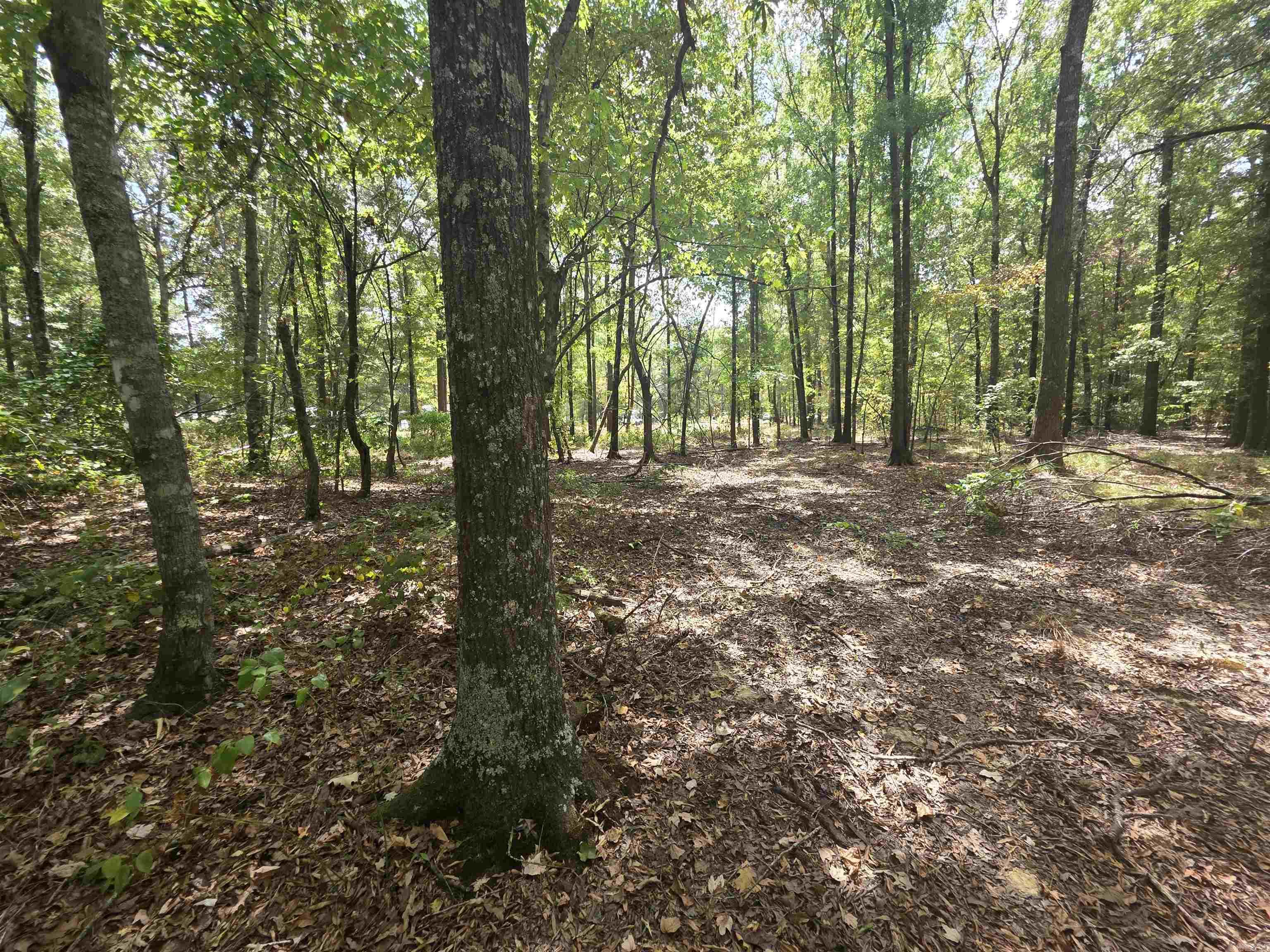 6532 Sayles Road Property Photo 11
