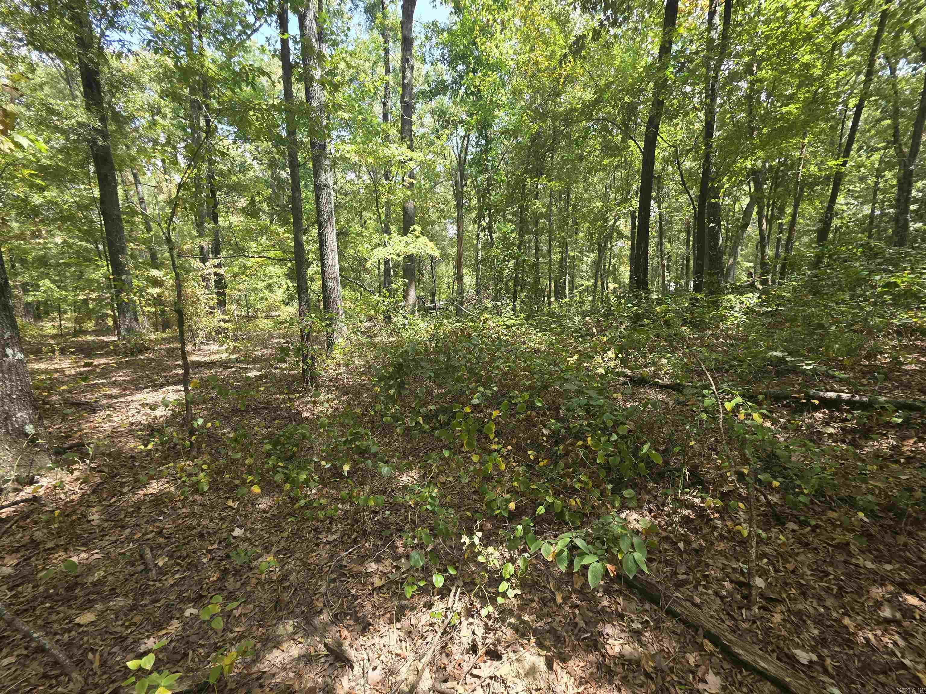 6532 Sayles Road Property Photo 12