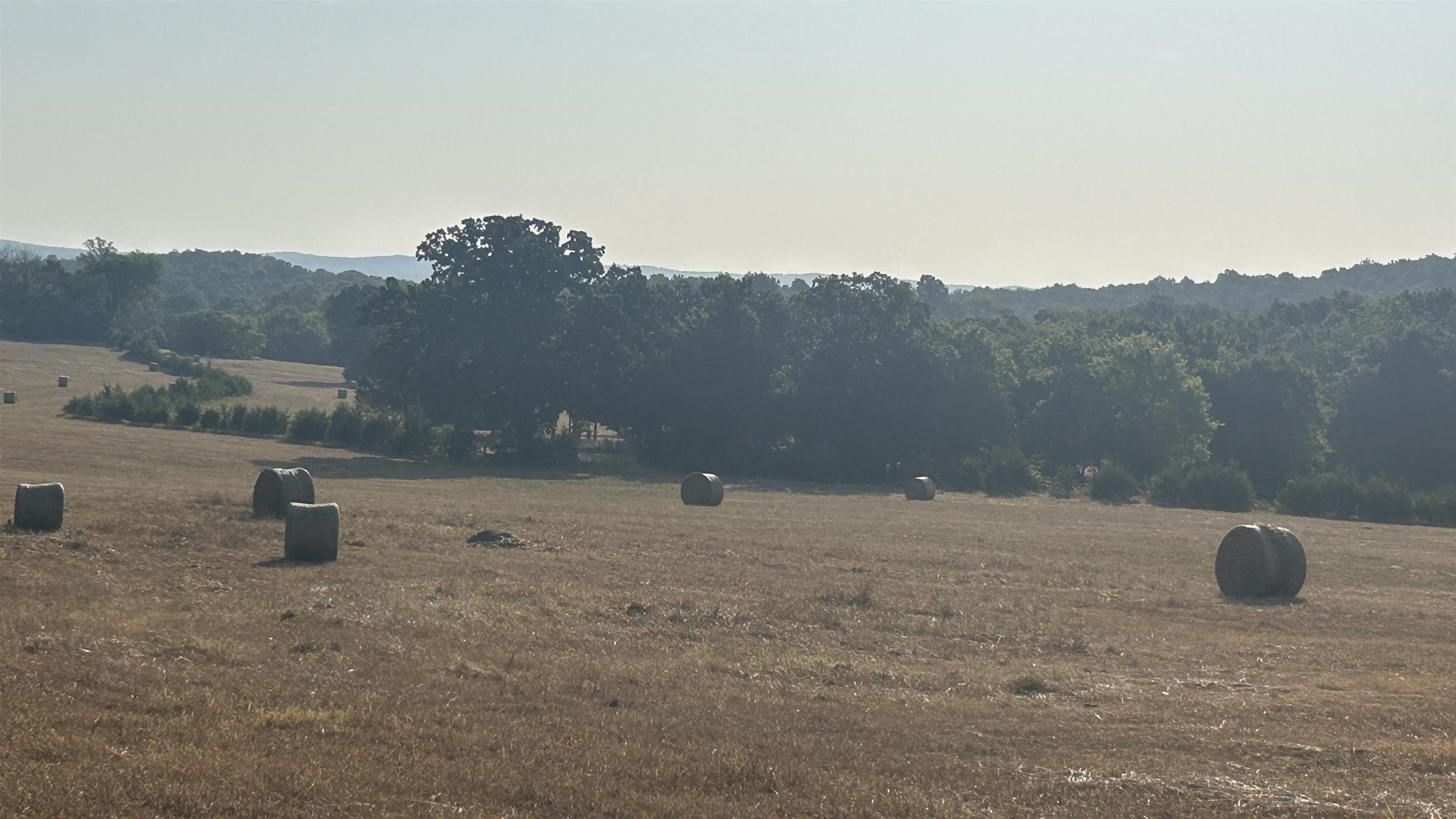Tbd S Corinth Roads Property Photo 3