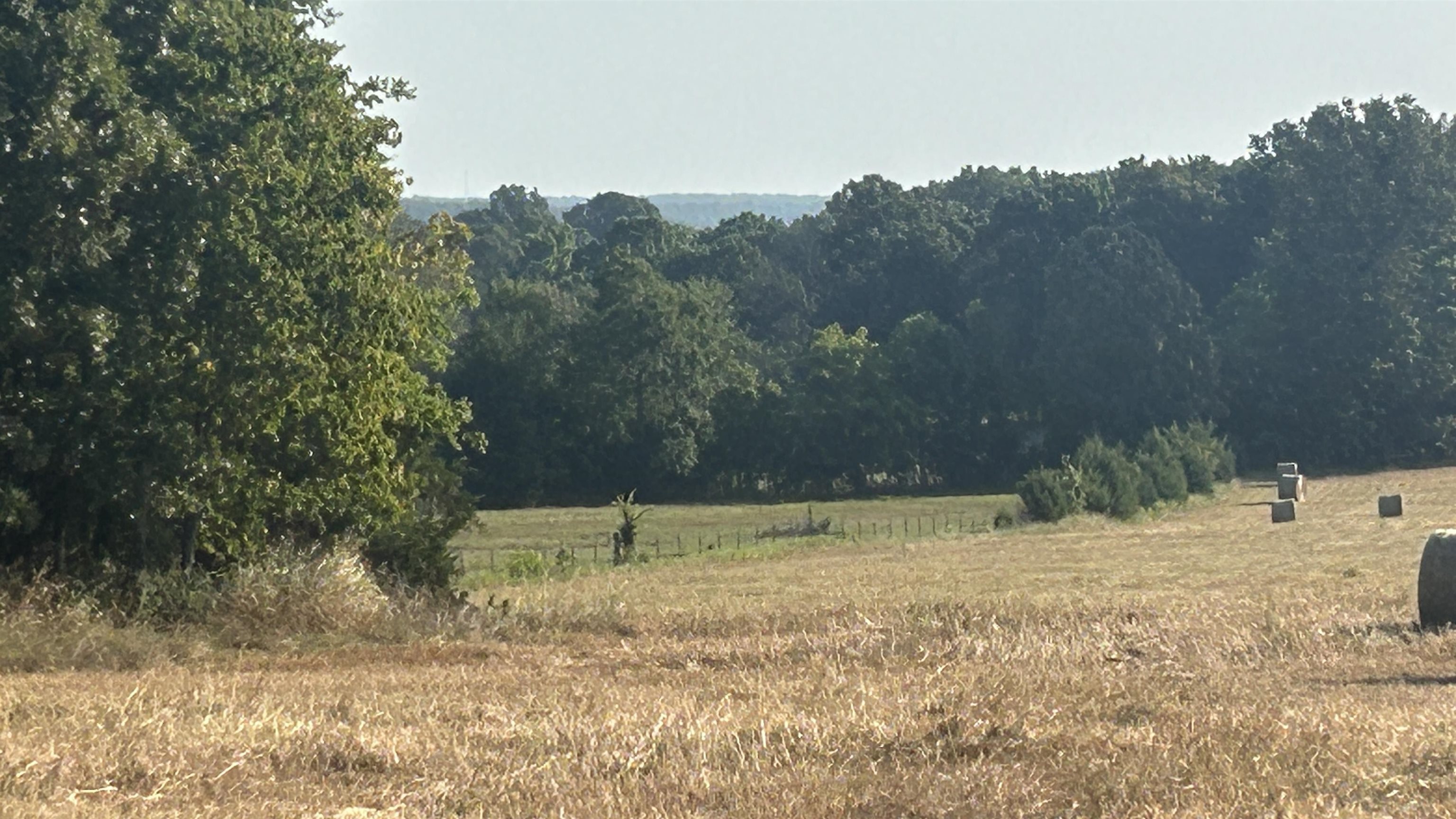Tbd S Corinth Roads Property Photo 5