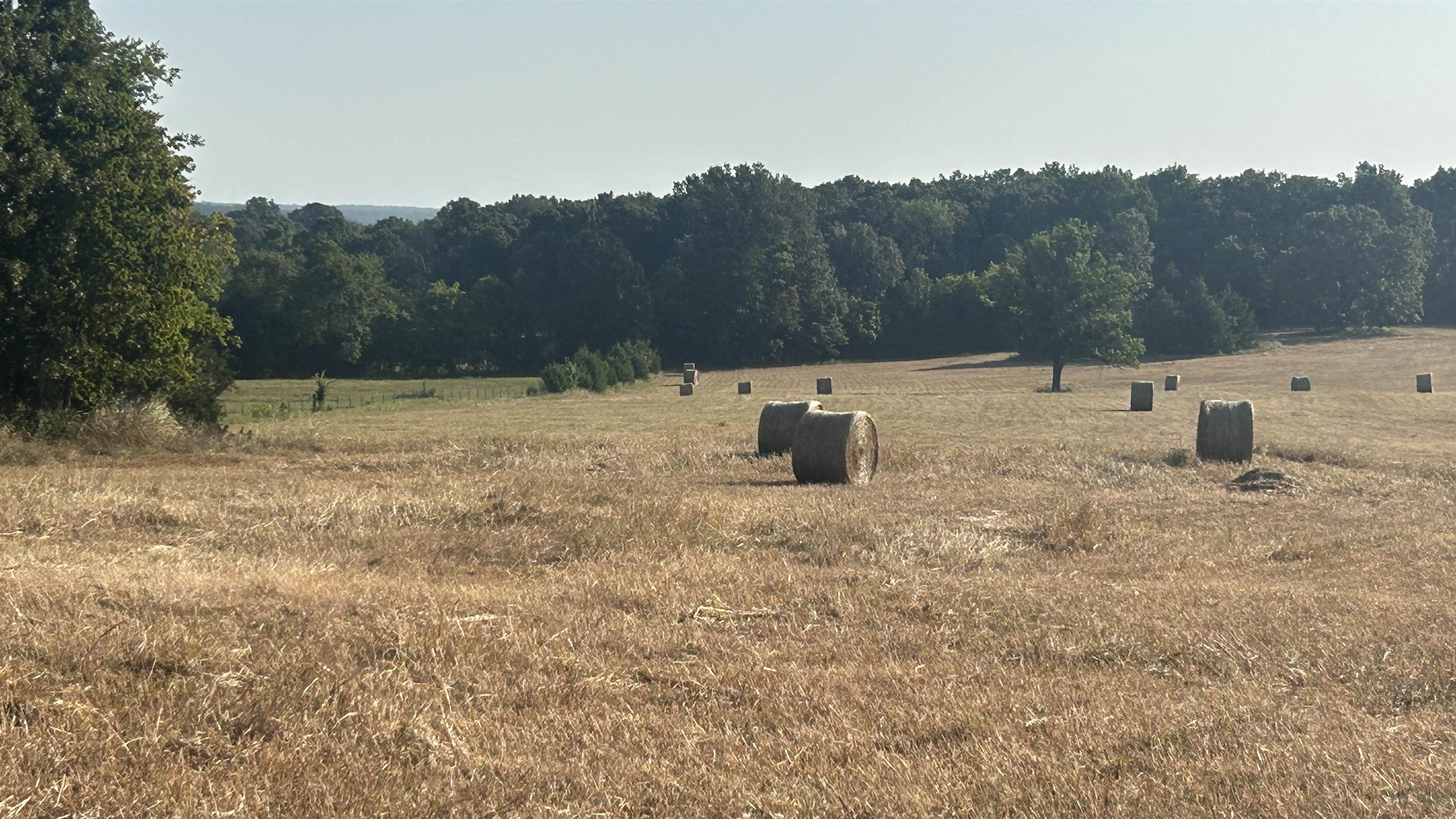 Tbd S Corinth Roads Property Photo 6