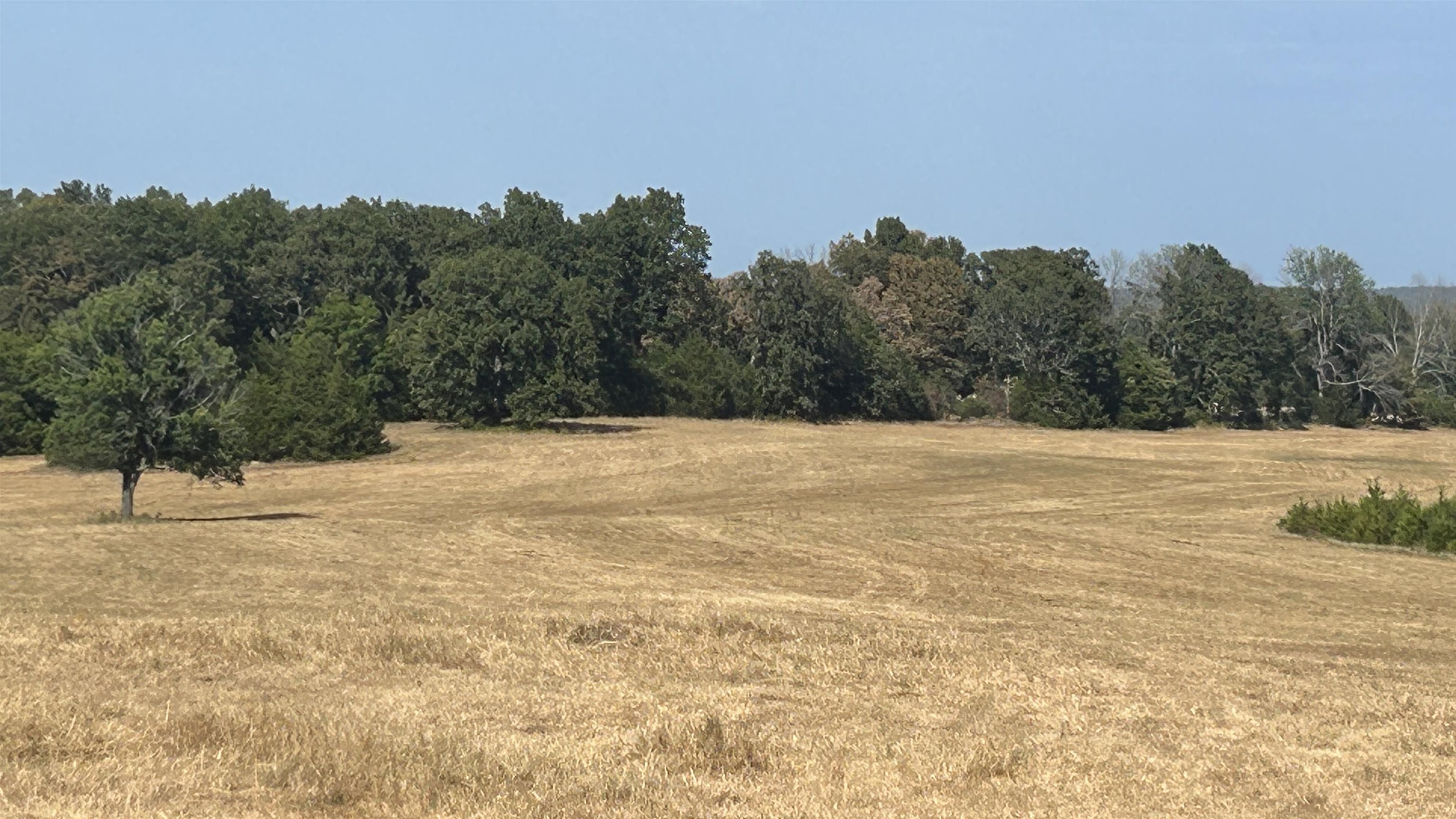 Tbd S Corinth Roads Property Photo 9