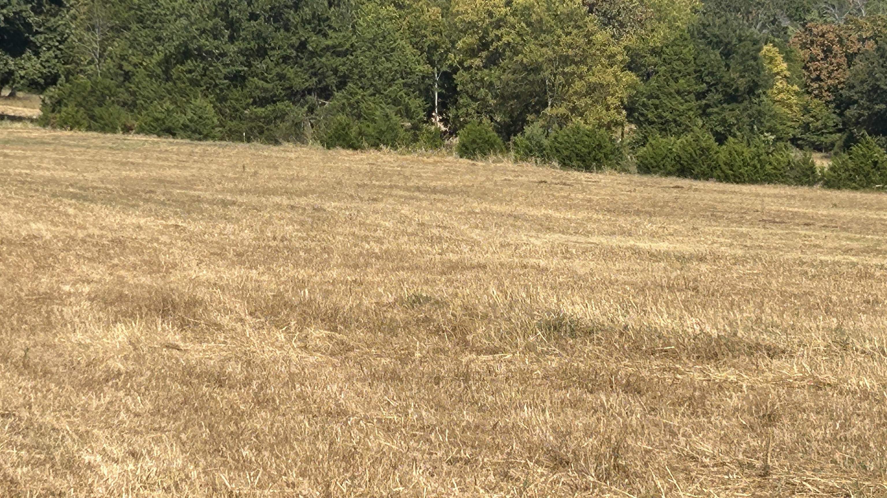 Tbd S Corinth Roads Property Photo 10
