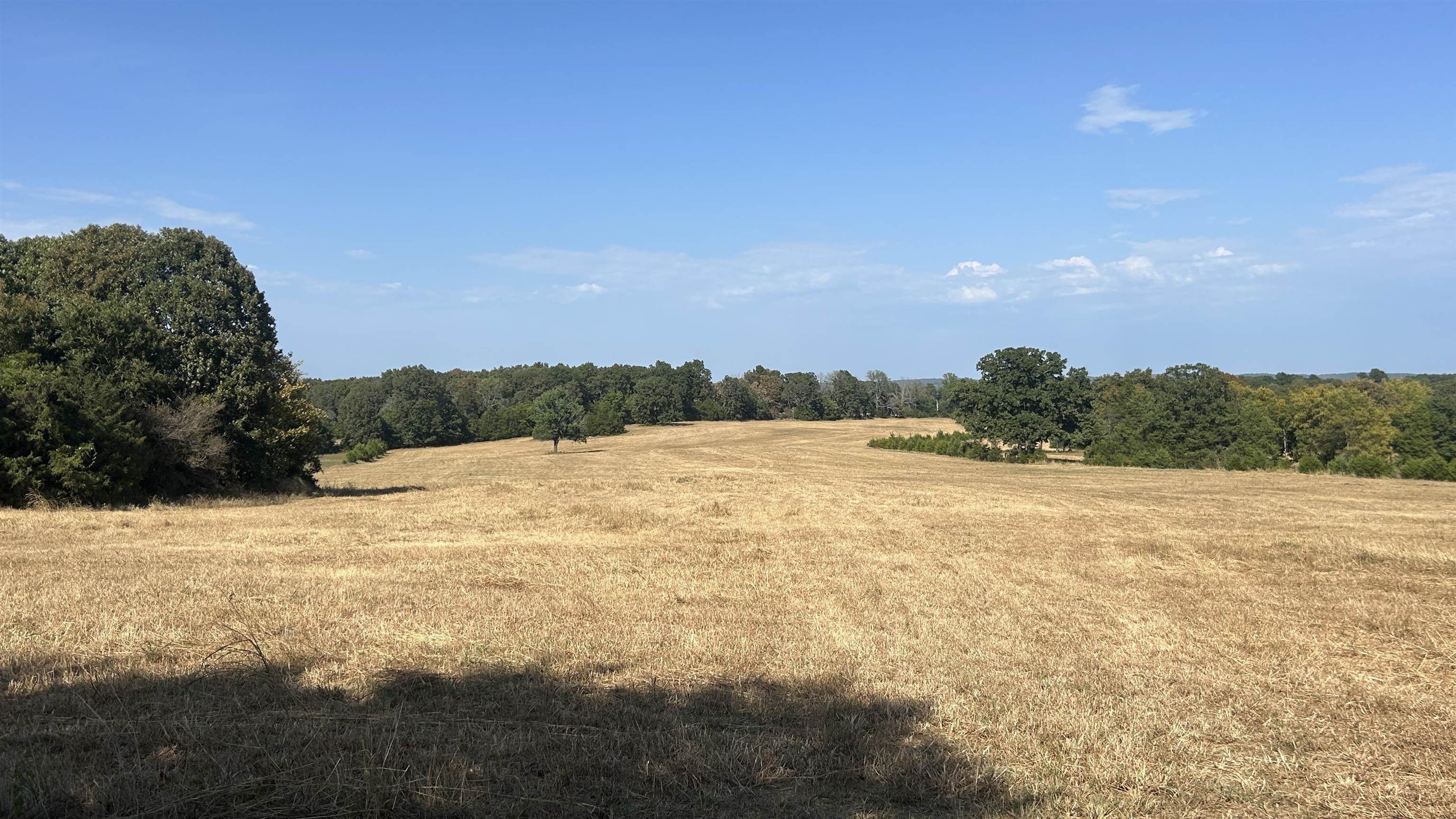 Tbd S Corinth Roads Property Photo 11