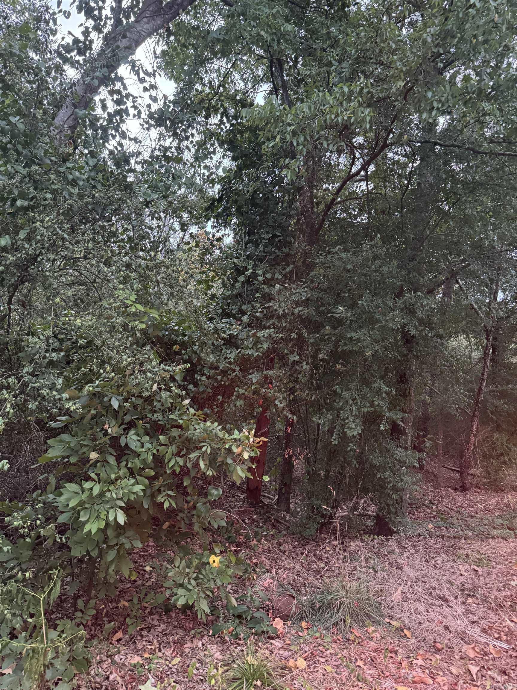 Lot 26 Lee Summit Dr. Property Photo 6