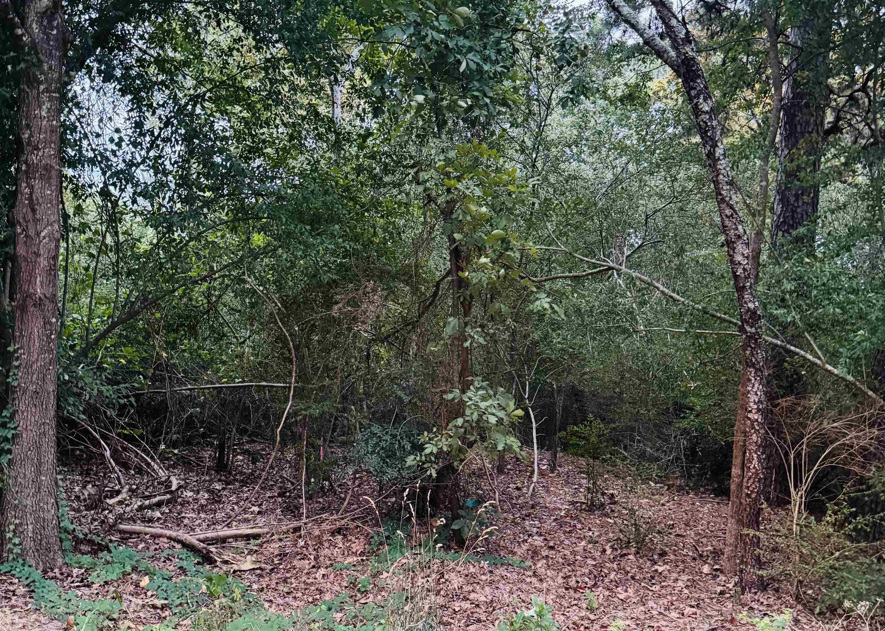Lot 24 Lee Summit Dr. Property Photo 3