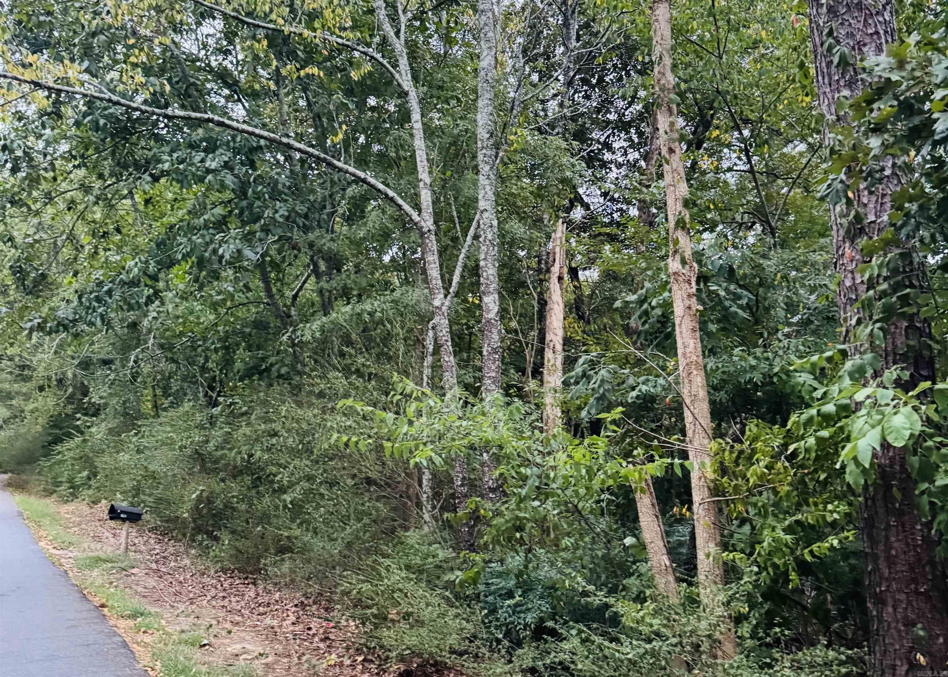 Lot 24 Lee Summit Dr. Property Photo 5