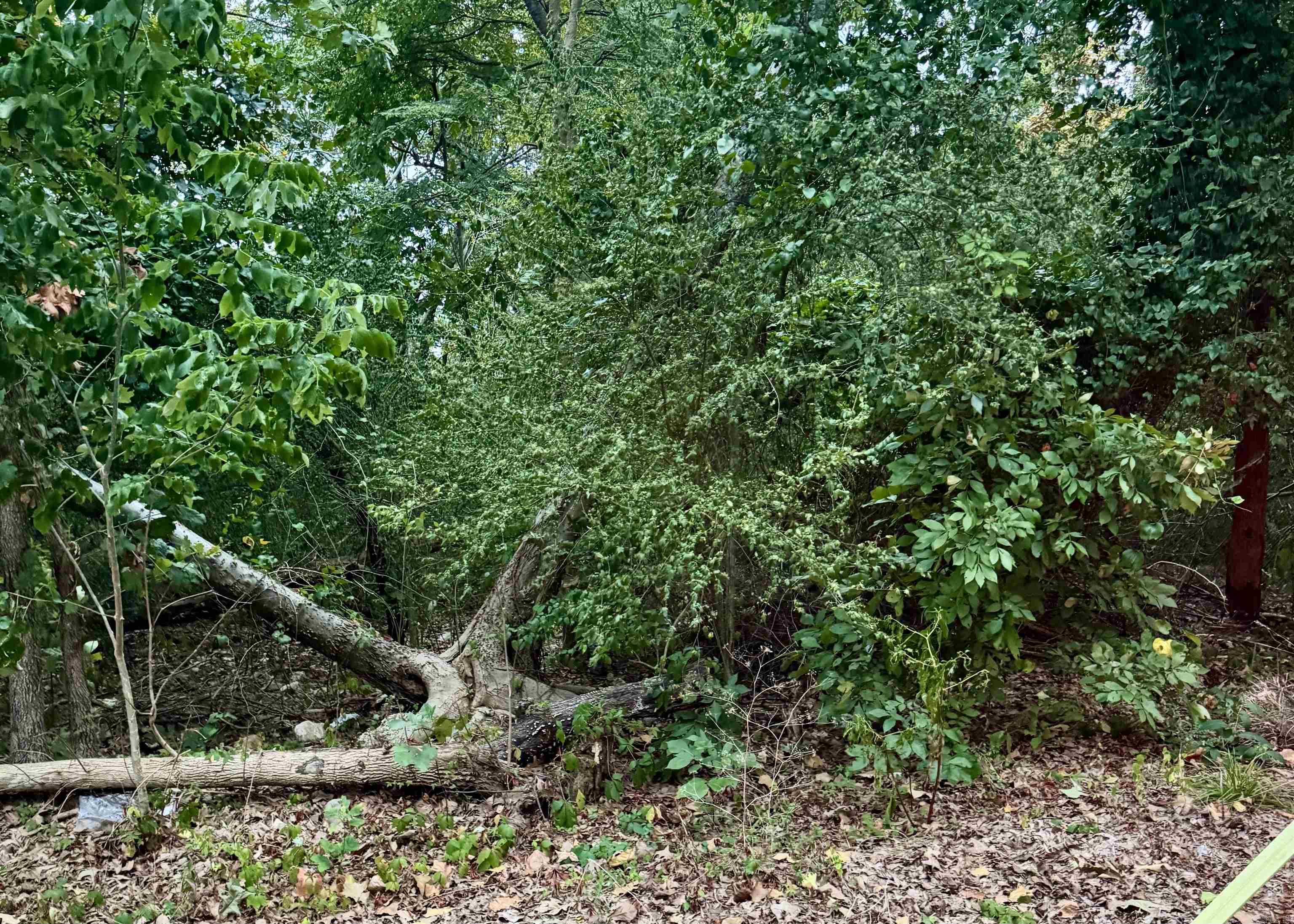 Lot 23 Lee Summit Dr. Property Photo 1
