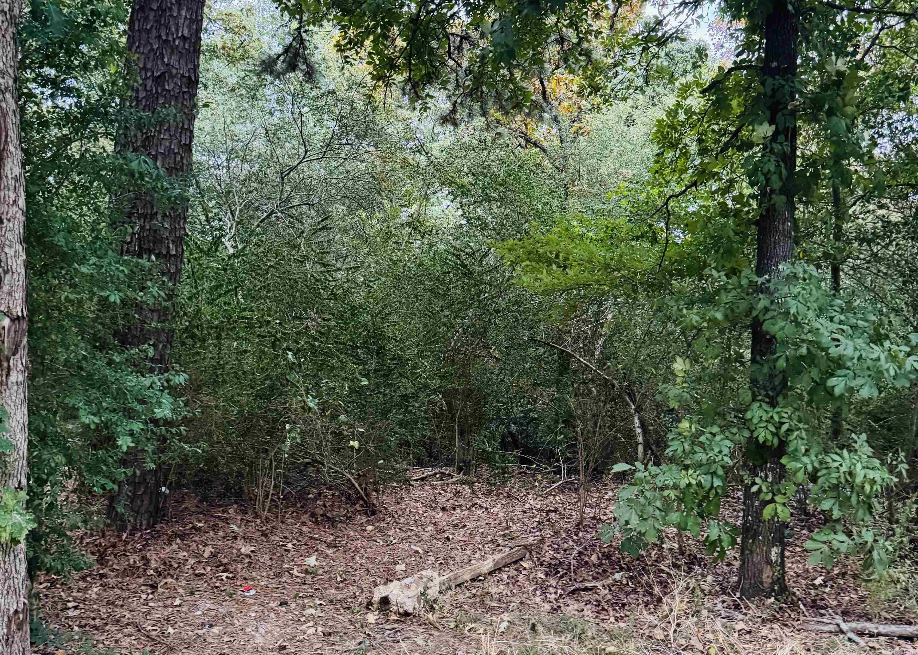 Lot 23 Lee Summit Dr. Property Photo 1