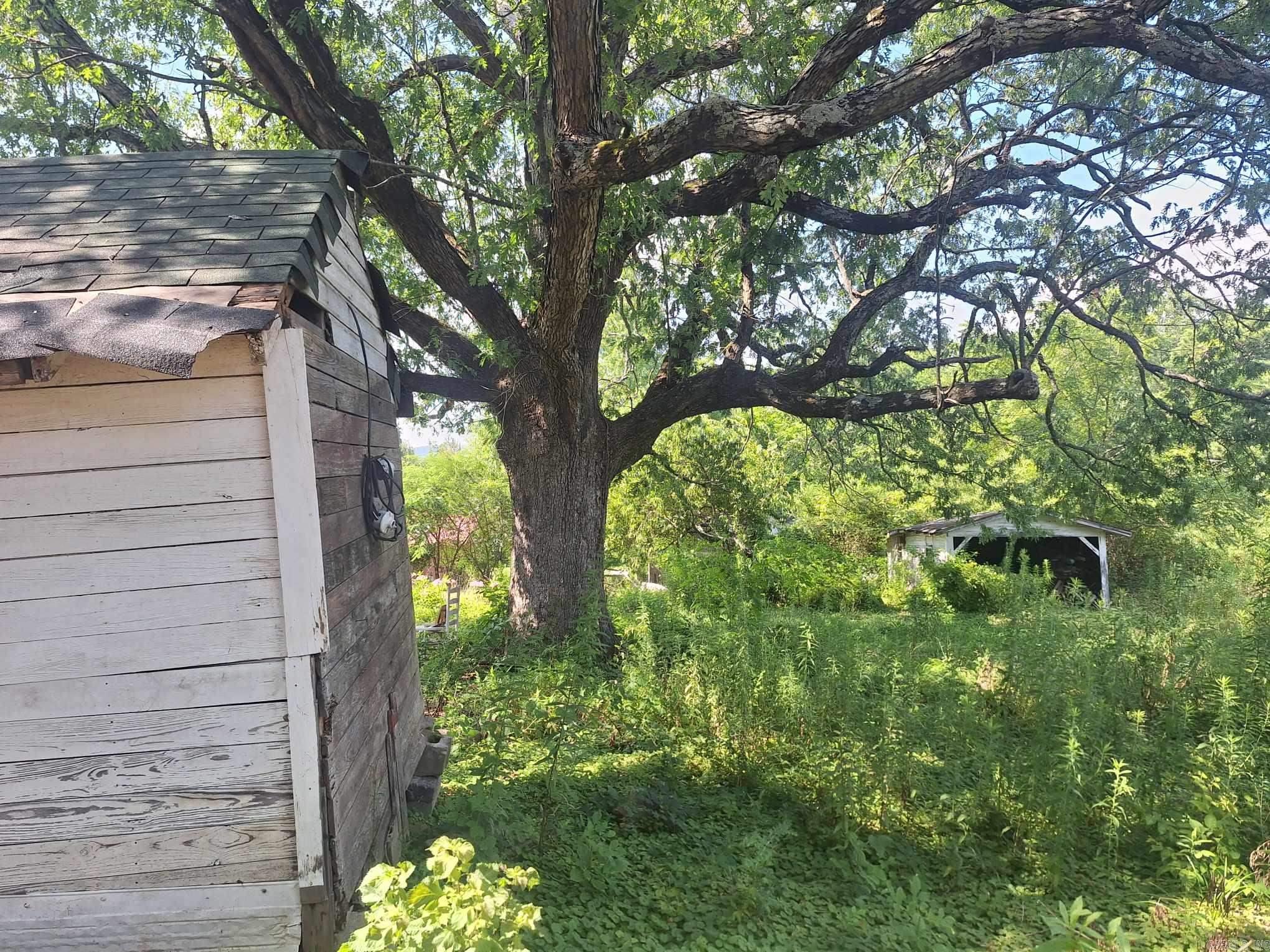 1108 Tyler St. Property Photo 8