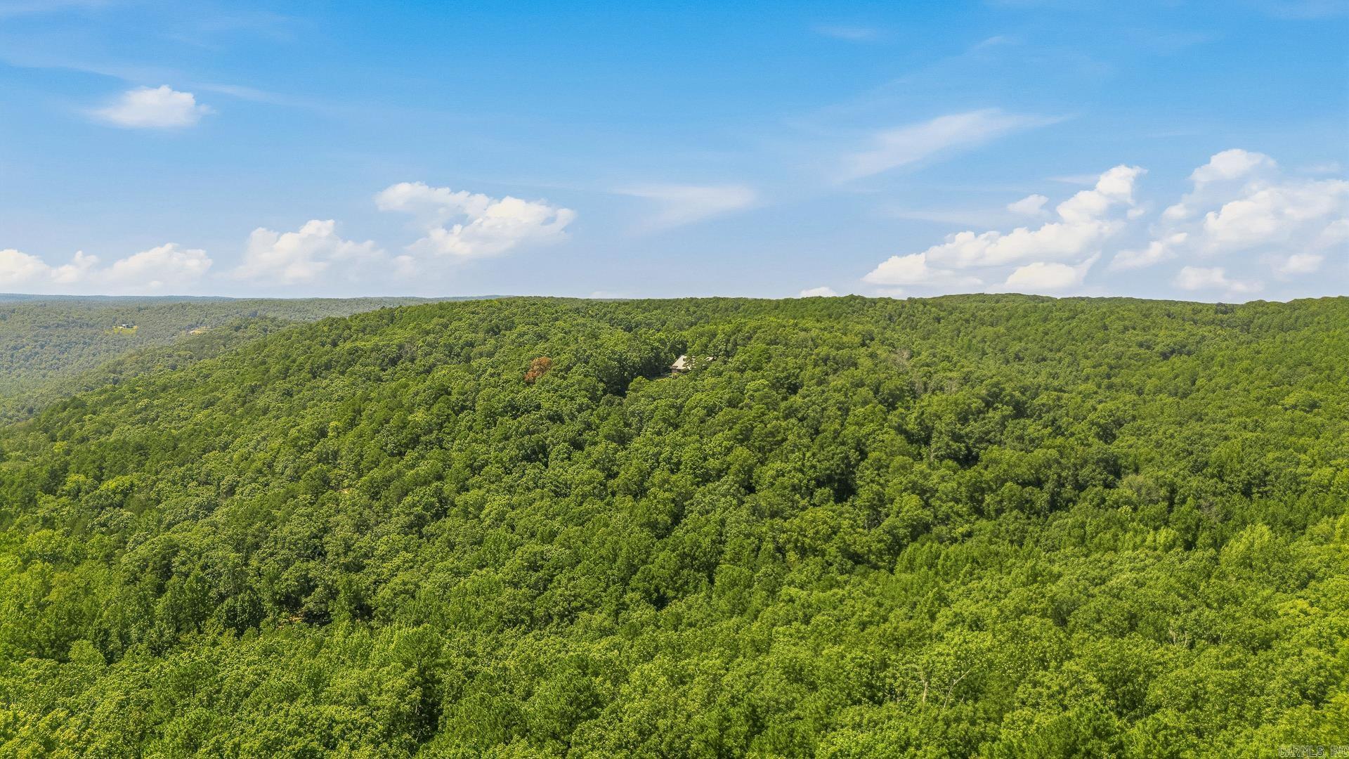 1352 Endless Road Property Photo 5
