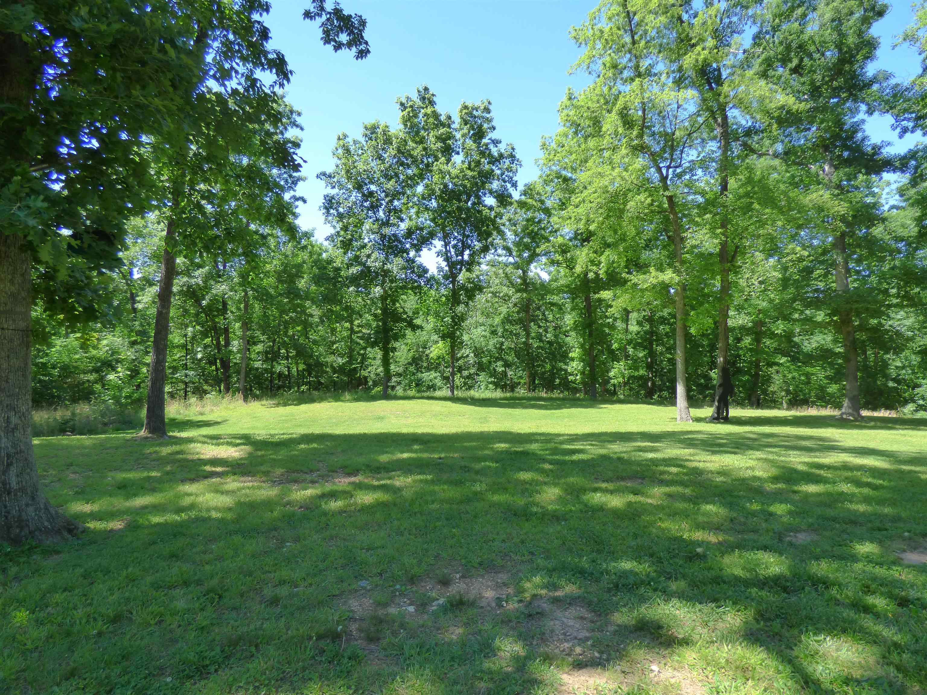 183 Ar Highway 175 Property Photo 6