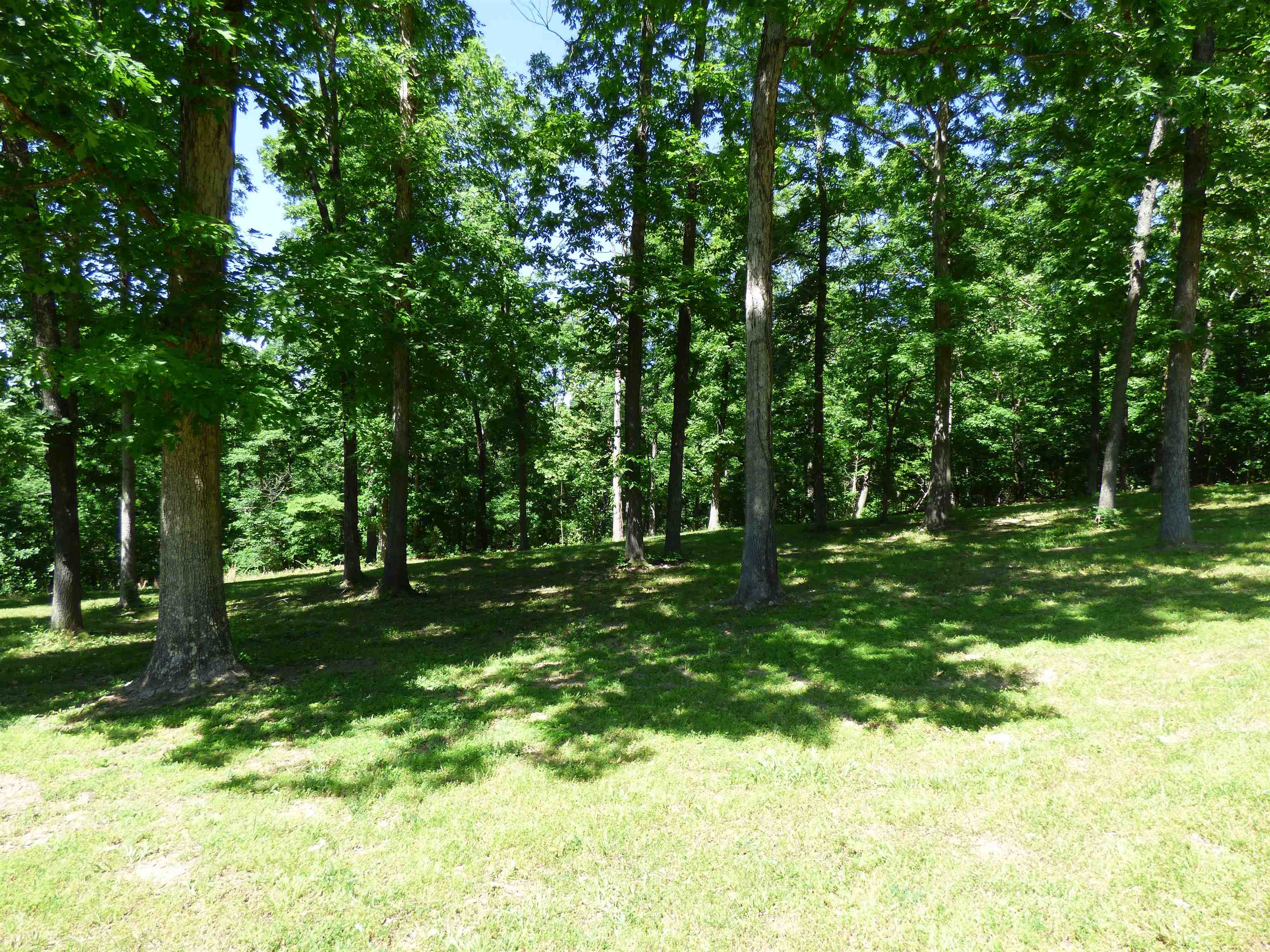 183 Ar Highway 175 Property Photo 9