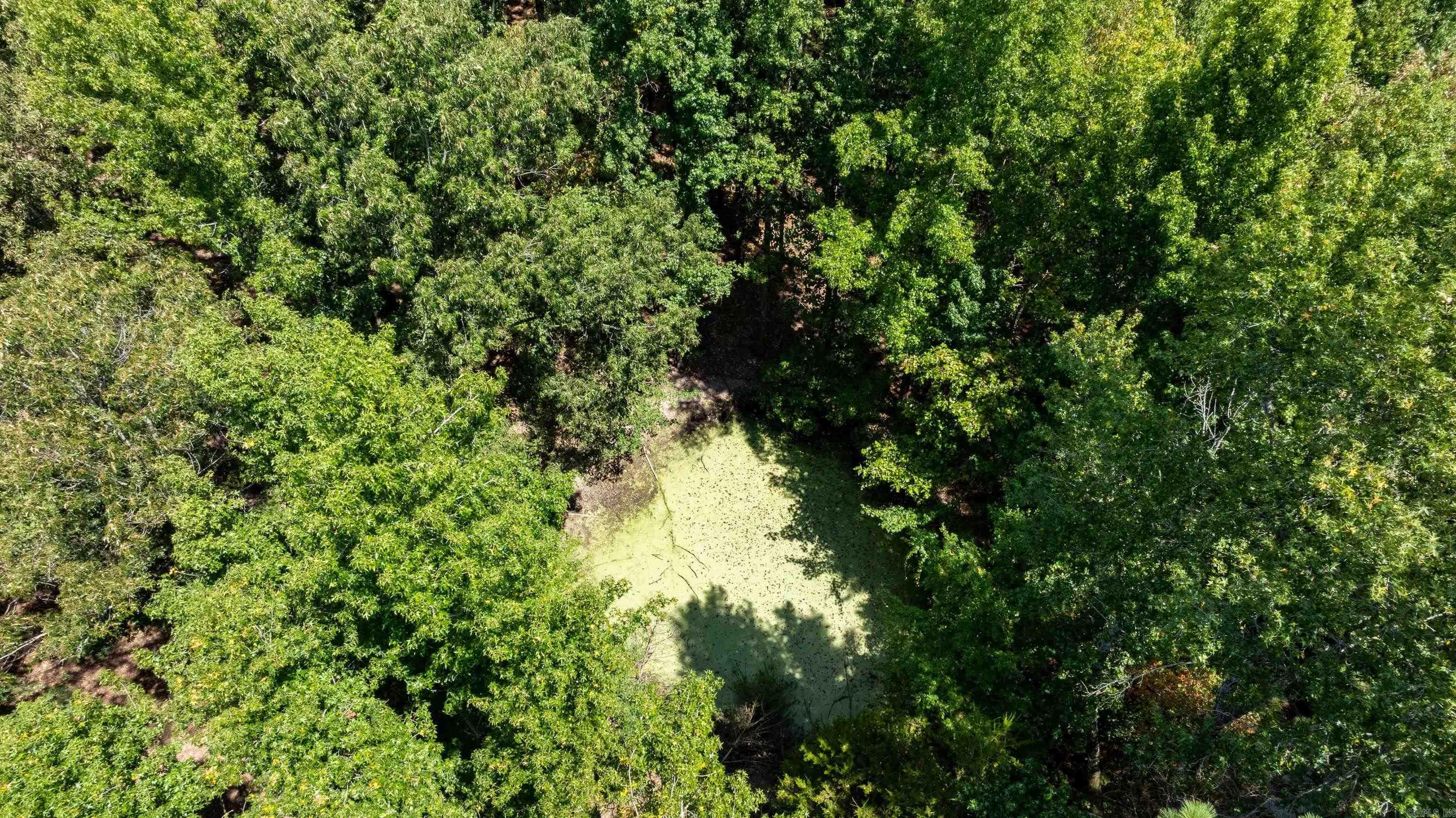 161 E Hopewell Rd Property Photo 3