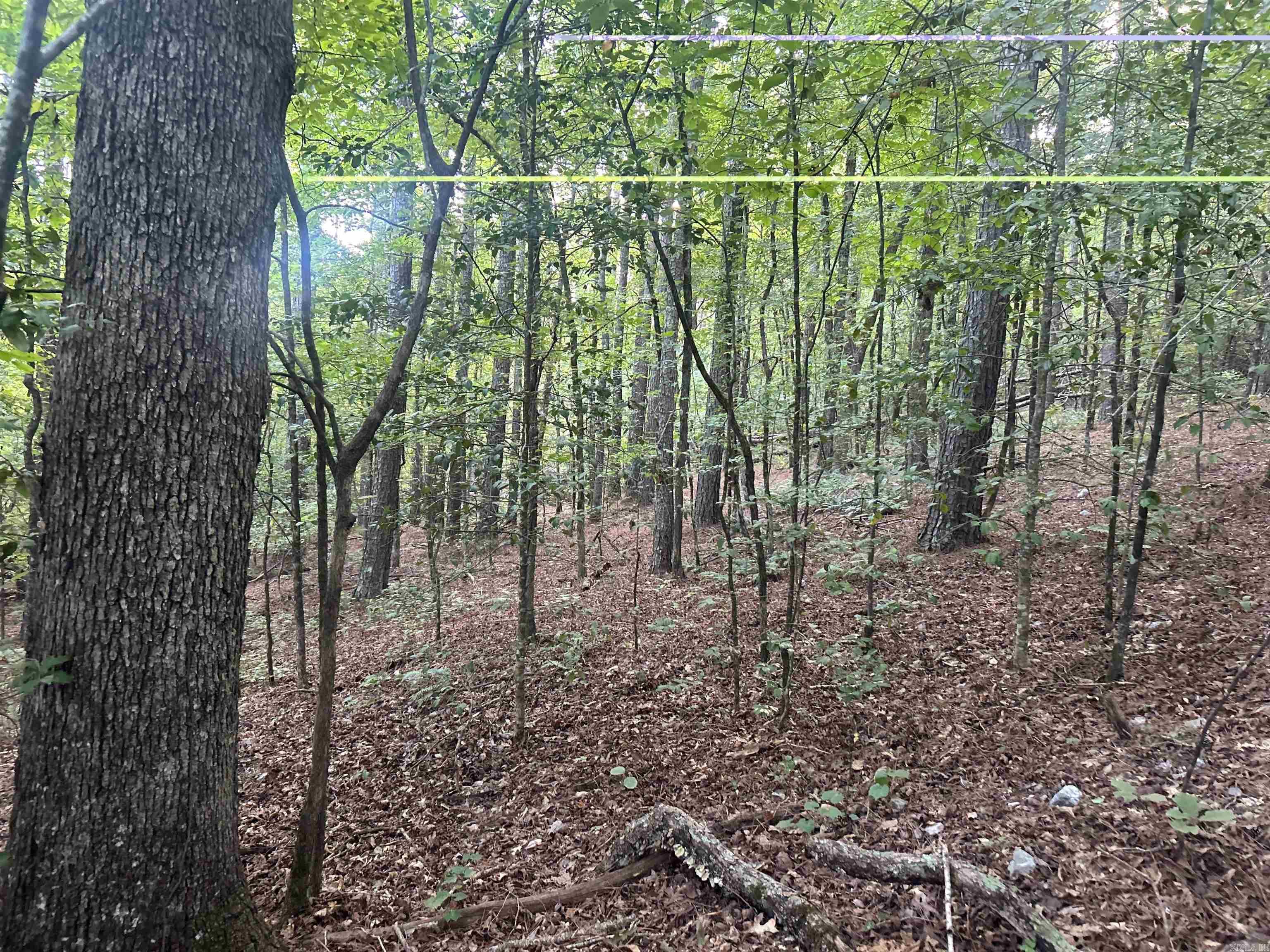 Tbd Camden Lane Property Photo 15