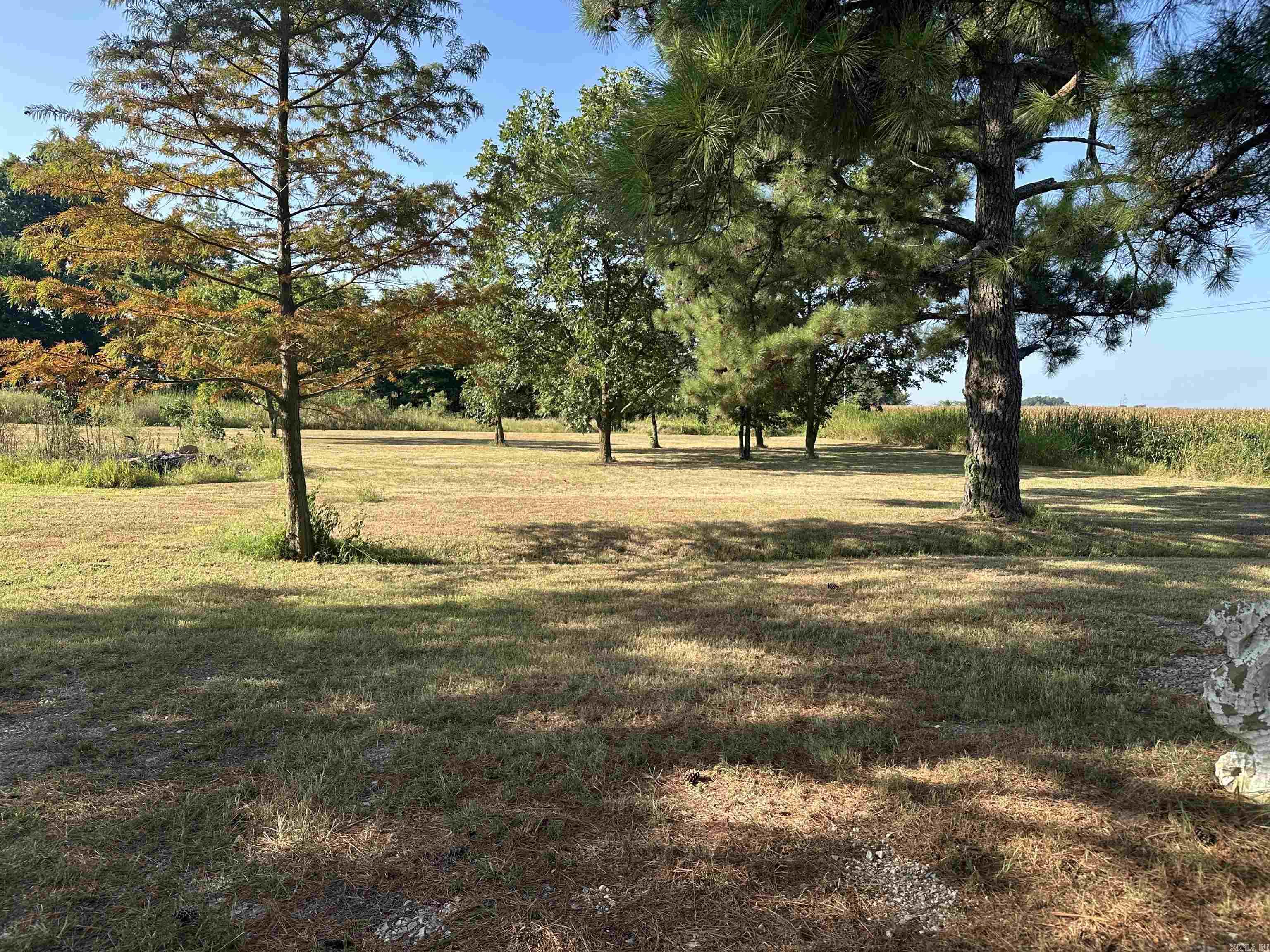 3076 County Road 945 Road Property Photo 19