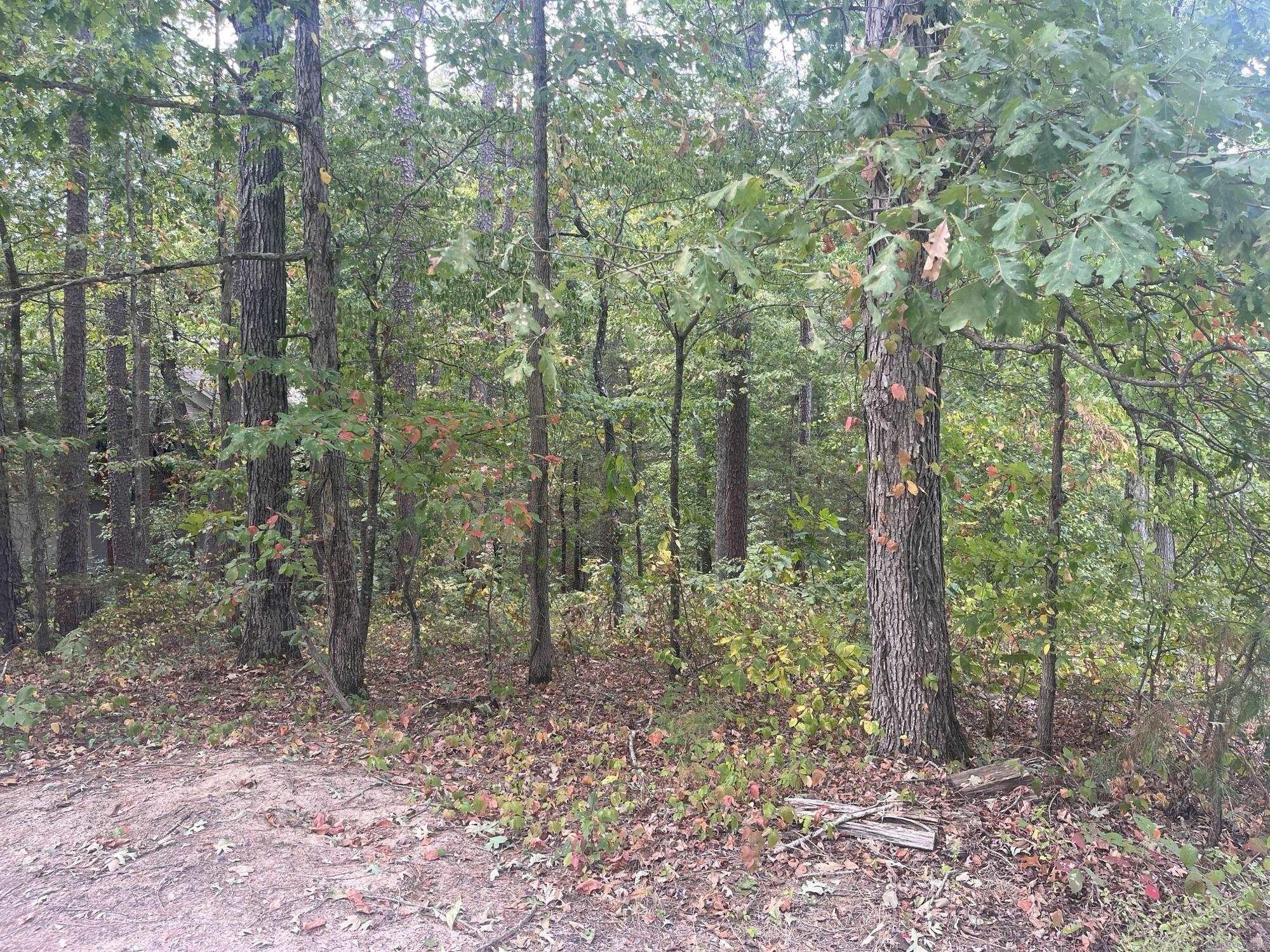 14 Guindola Circle Property Photo 3
